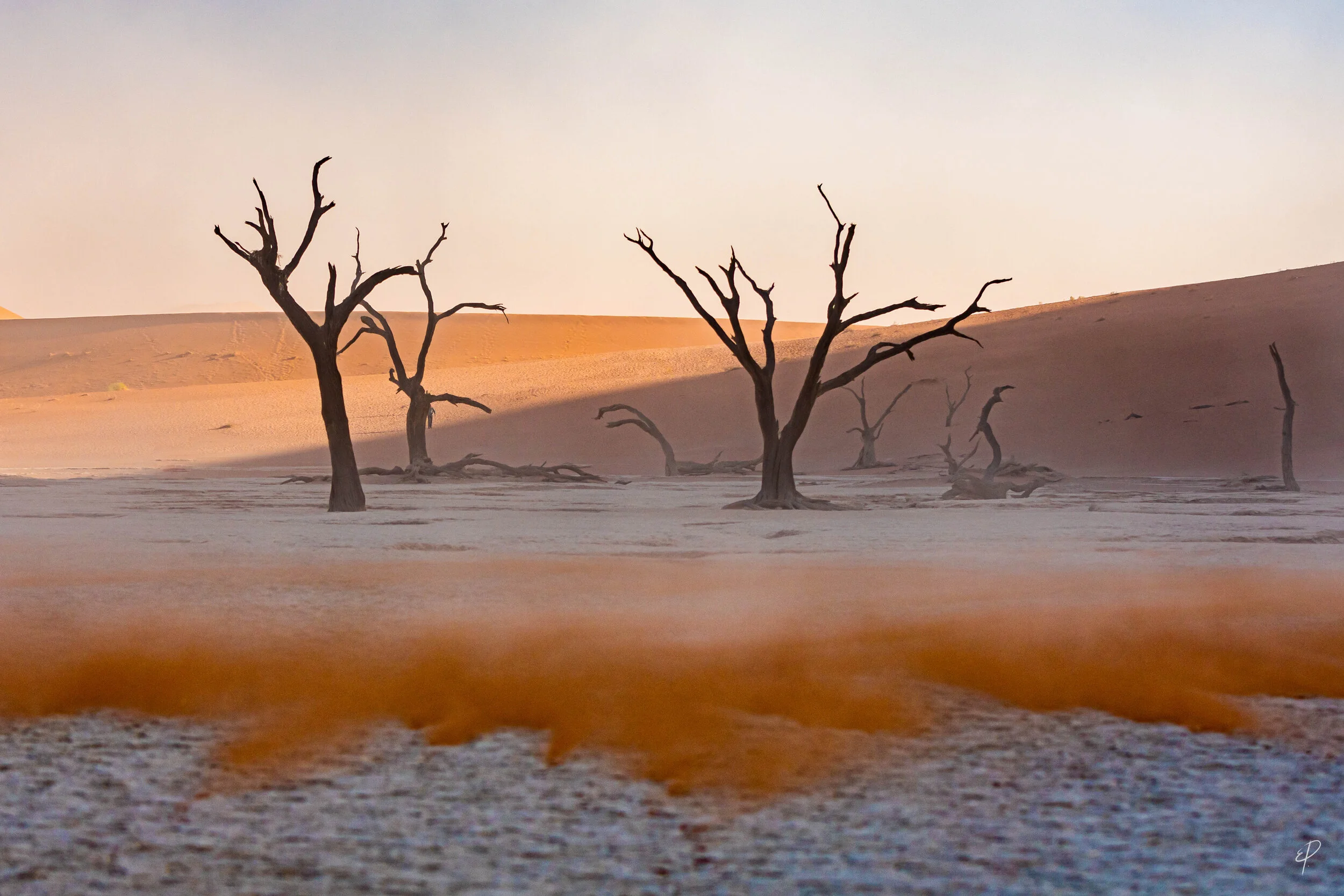 0218-Namibie-08 juin 2019- 0218.jpg