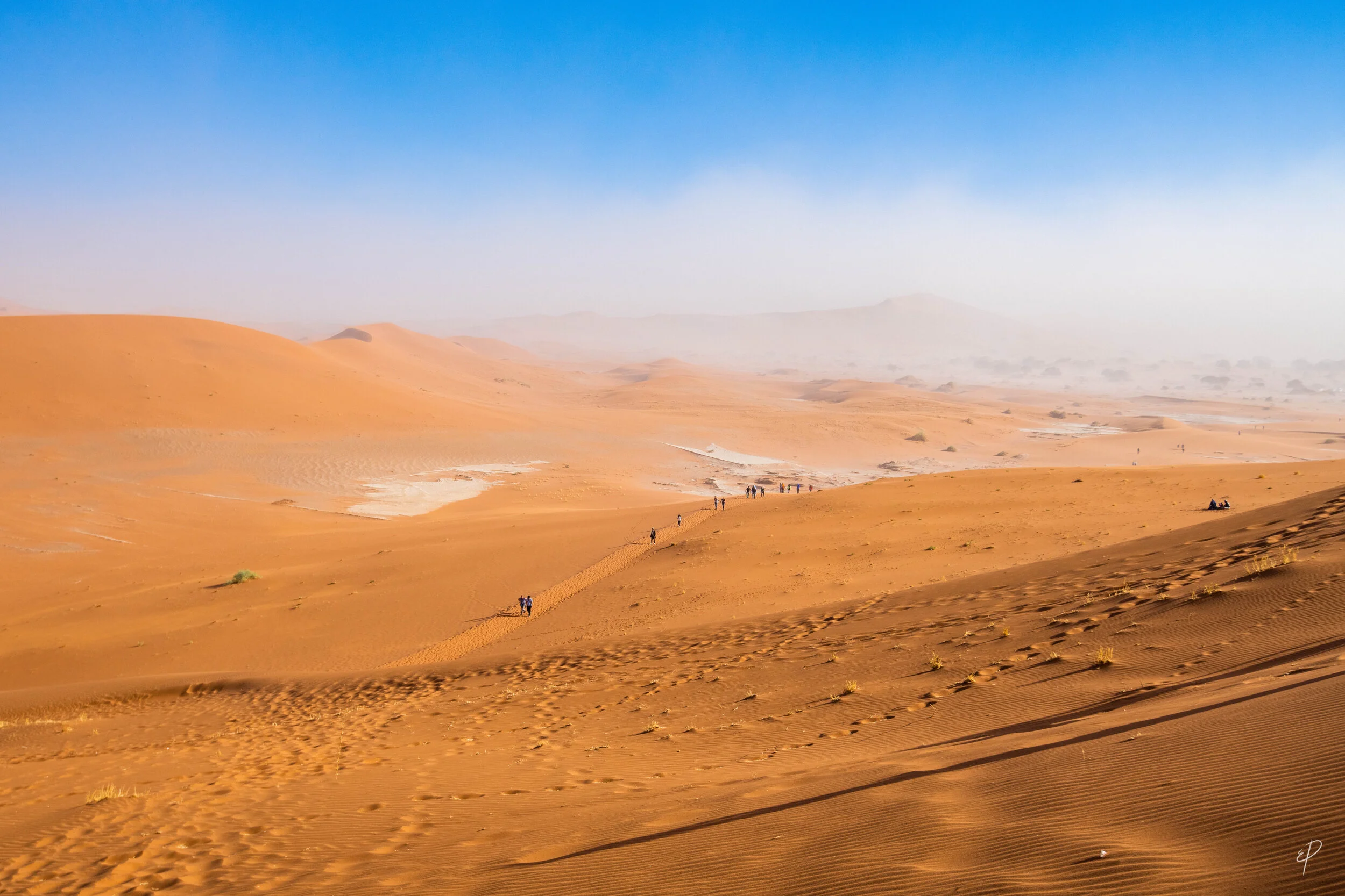 0253-Namibie-08 juin 2019- 0253.jpg