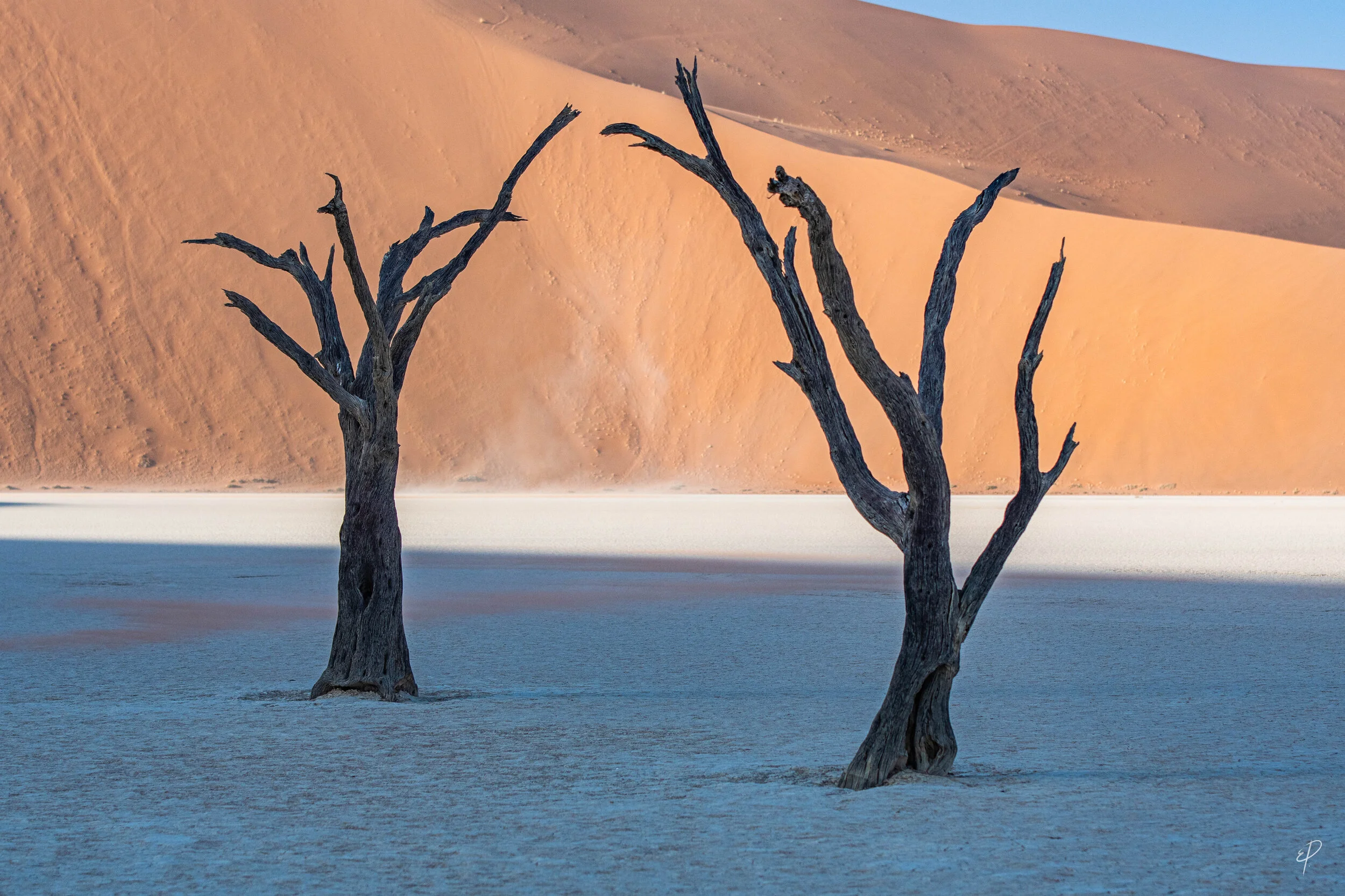 0222-Namibie-08 juin 2019- 0222.jpg