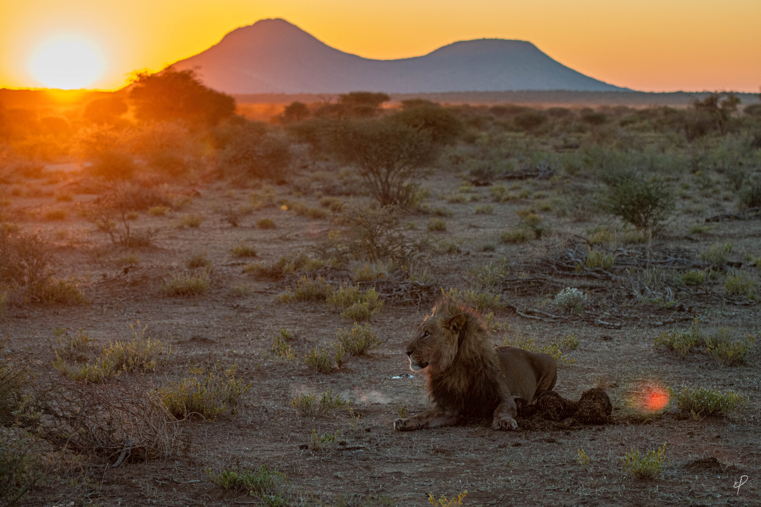 0129-Namibie-04 juin 2019- 0129.jpg