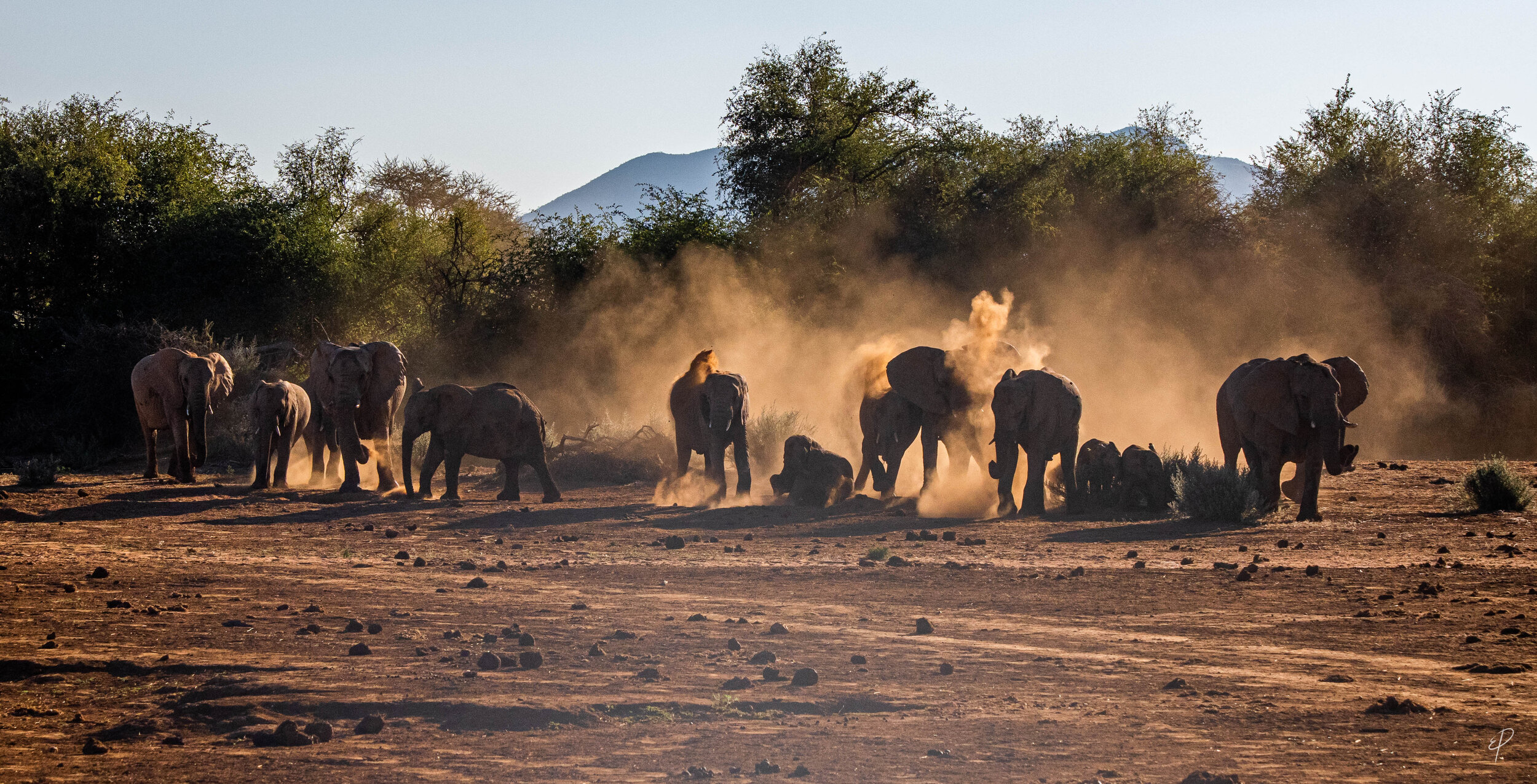 0102-Namibie-03 juin 2019- 0102.jpg
