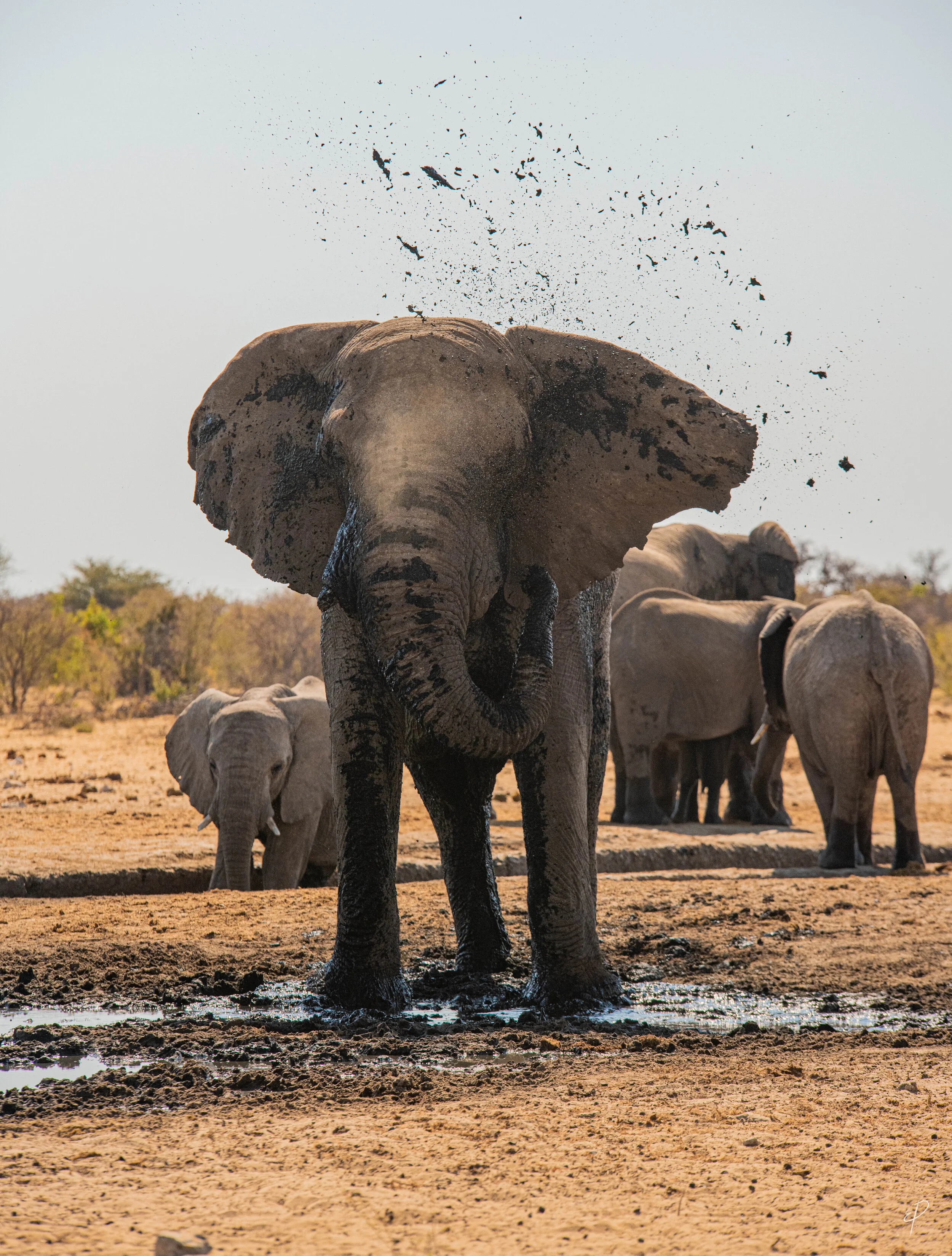0040-Namibie-01 juin 2019- 0040.jpg