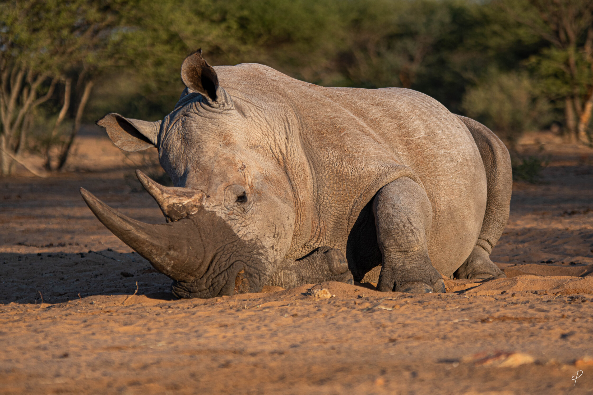 0005-Namibie-30 mai 2019- 0005.jpg
