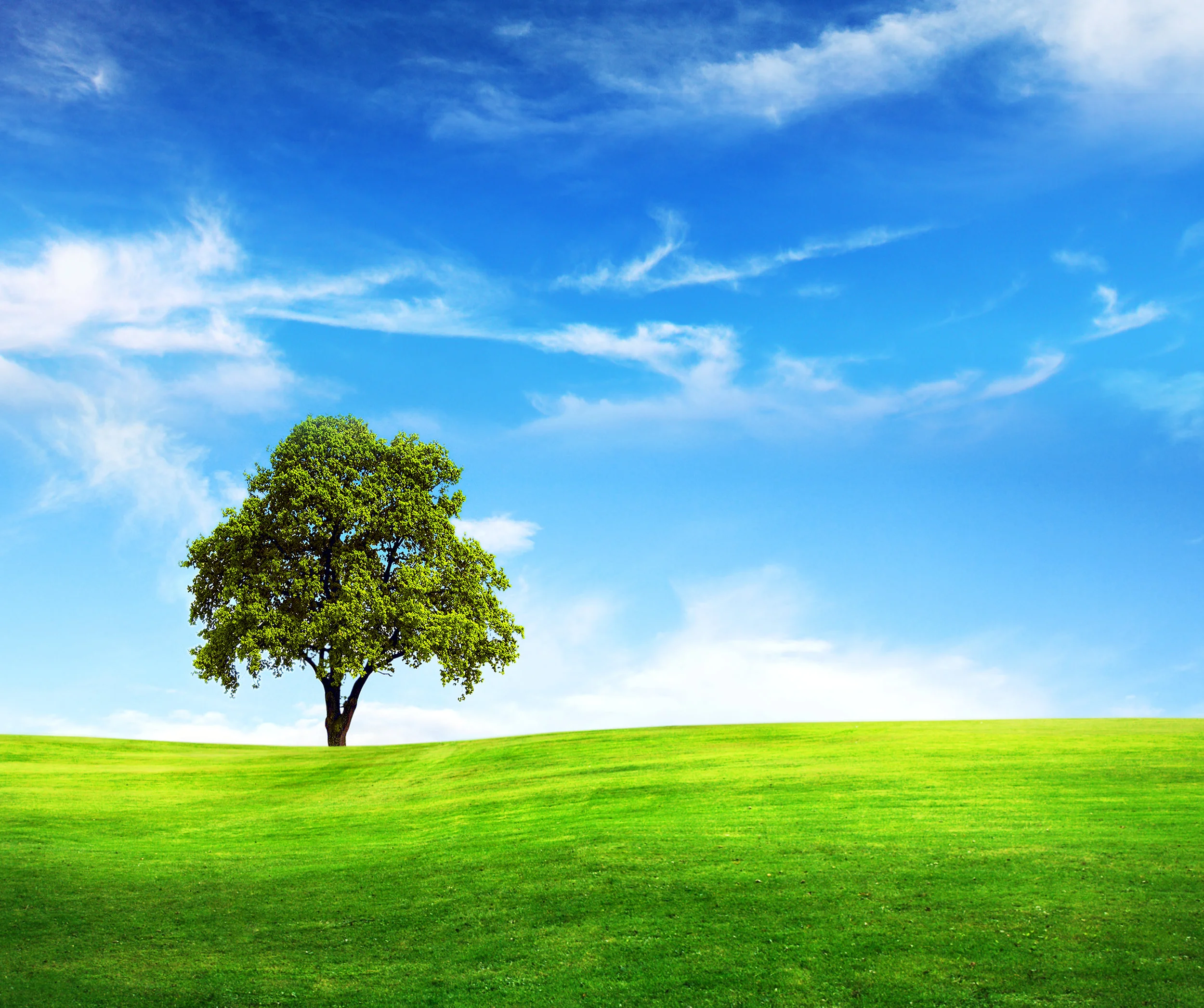 blue_sky_718ABC_good_widescreen.jpg
