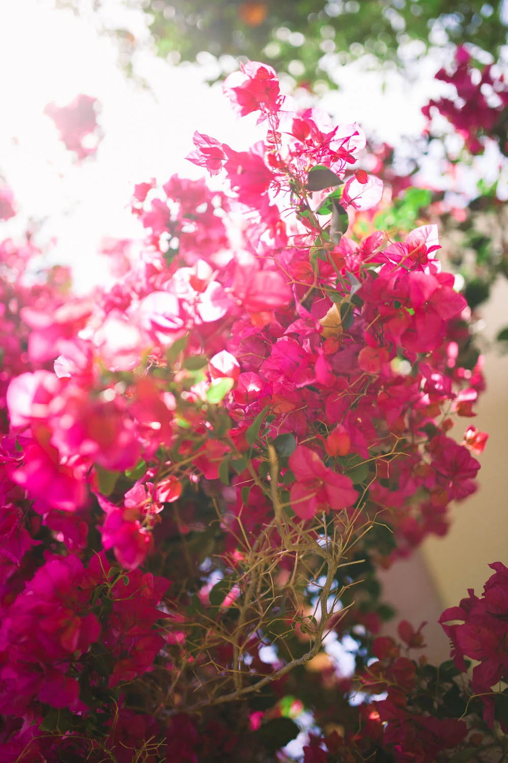 UK Destination Wedding Photographer