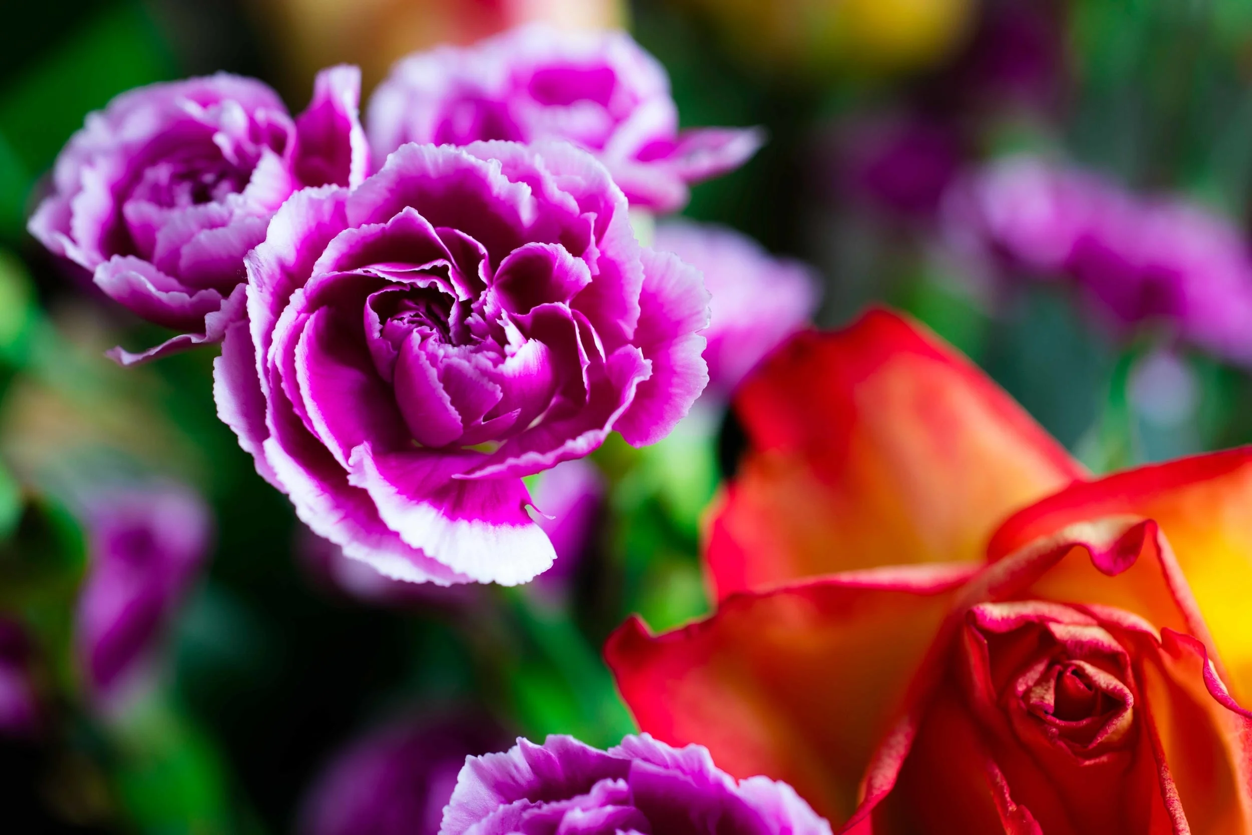 Macro of beautiful flower display at Sarah & Phil's Broadstairs wedding