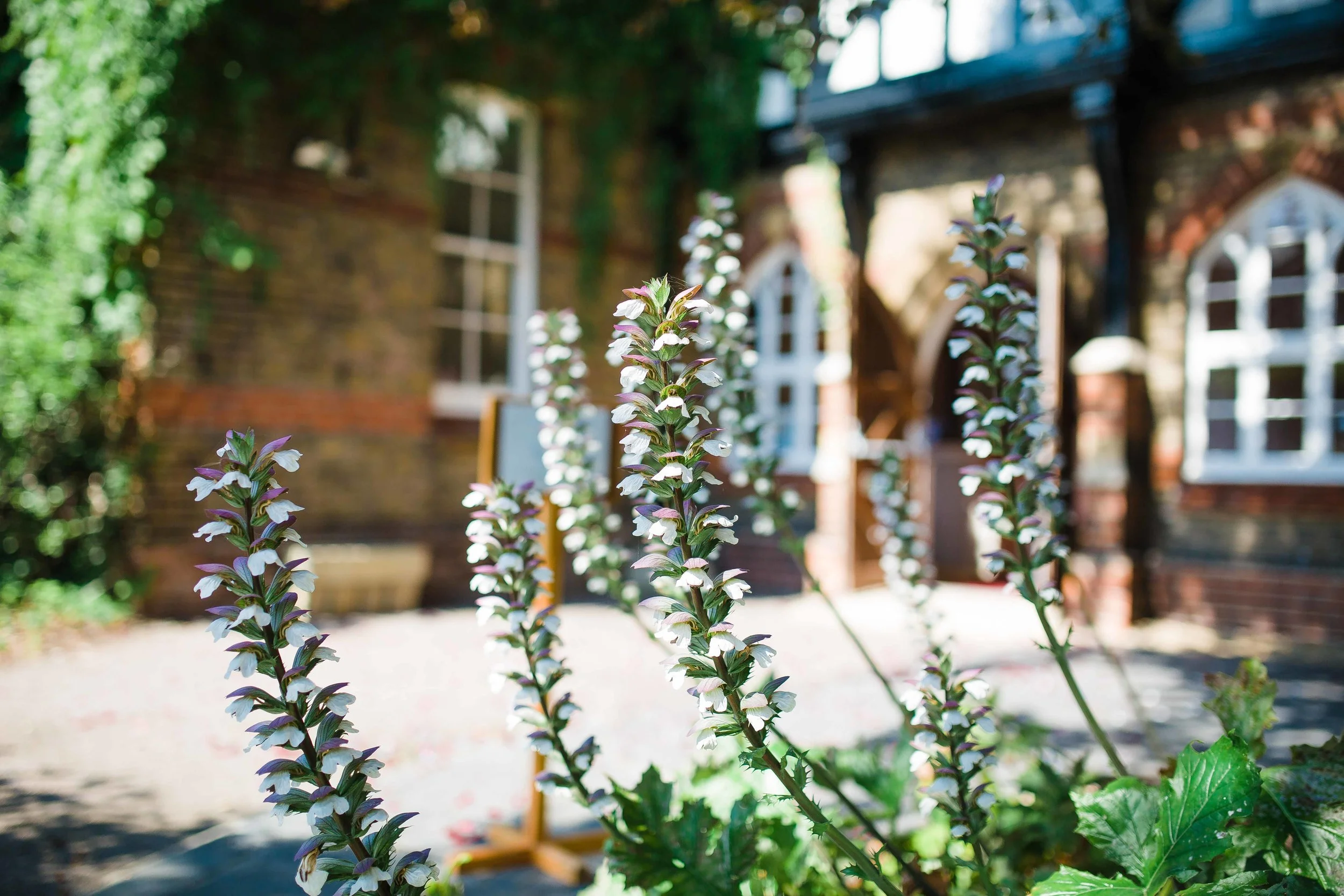Kent Wedding Photographer James Davies-1.jpg