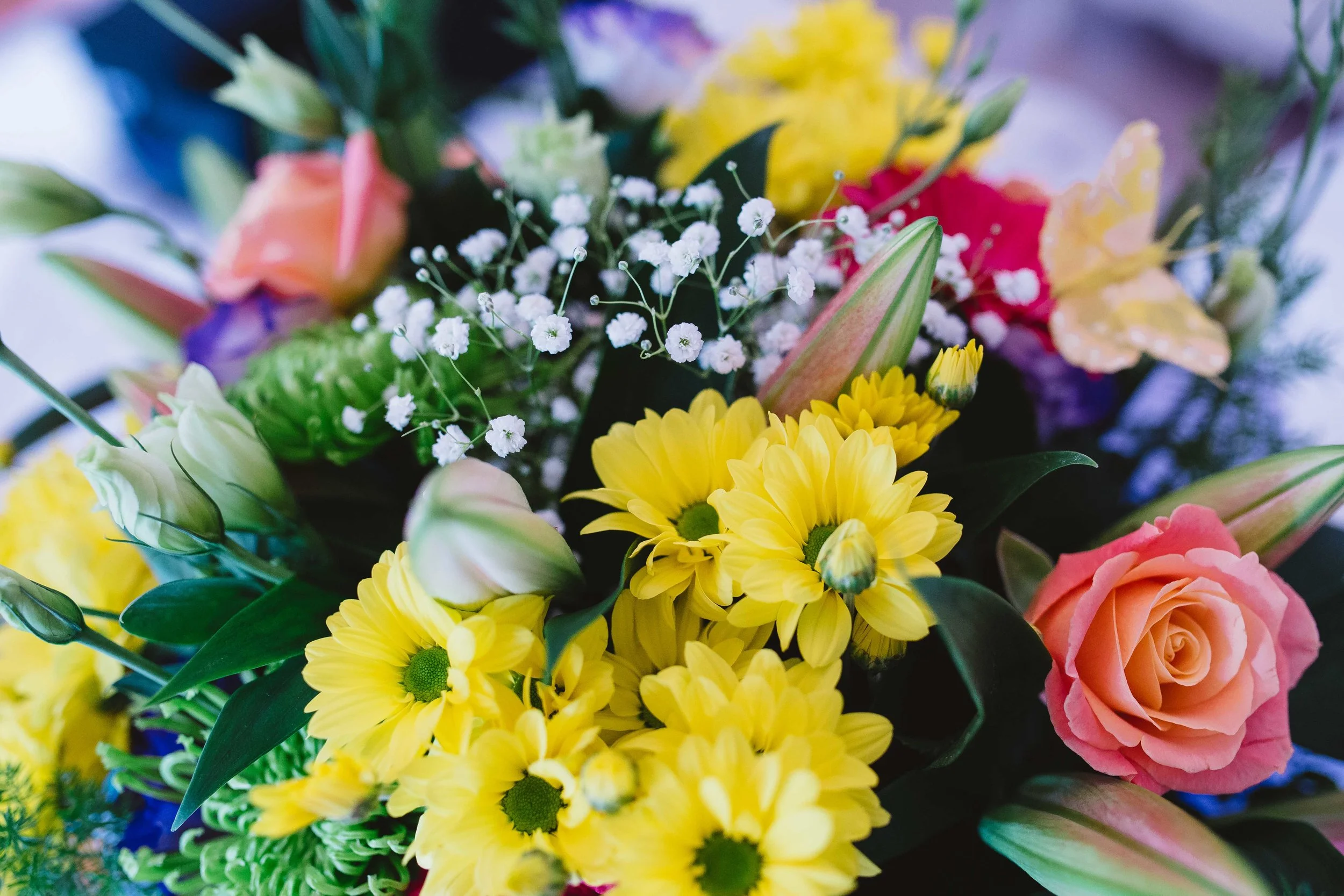 James Davies Wedding Photography - marleybrook house-3.jpg