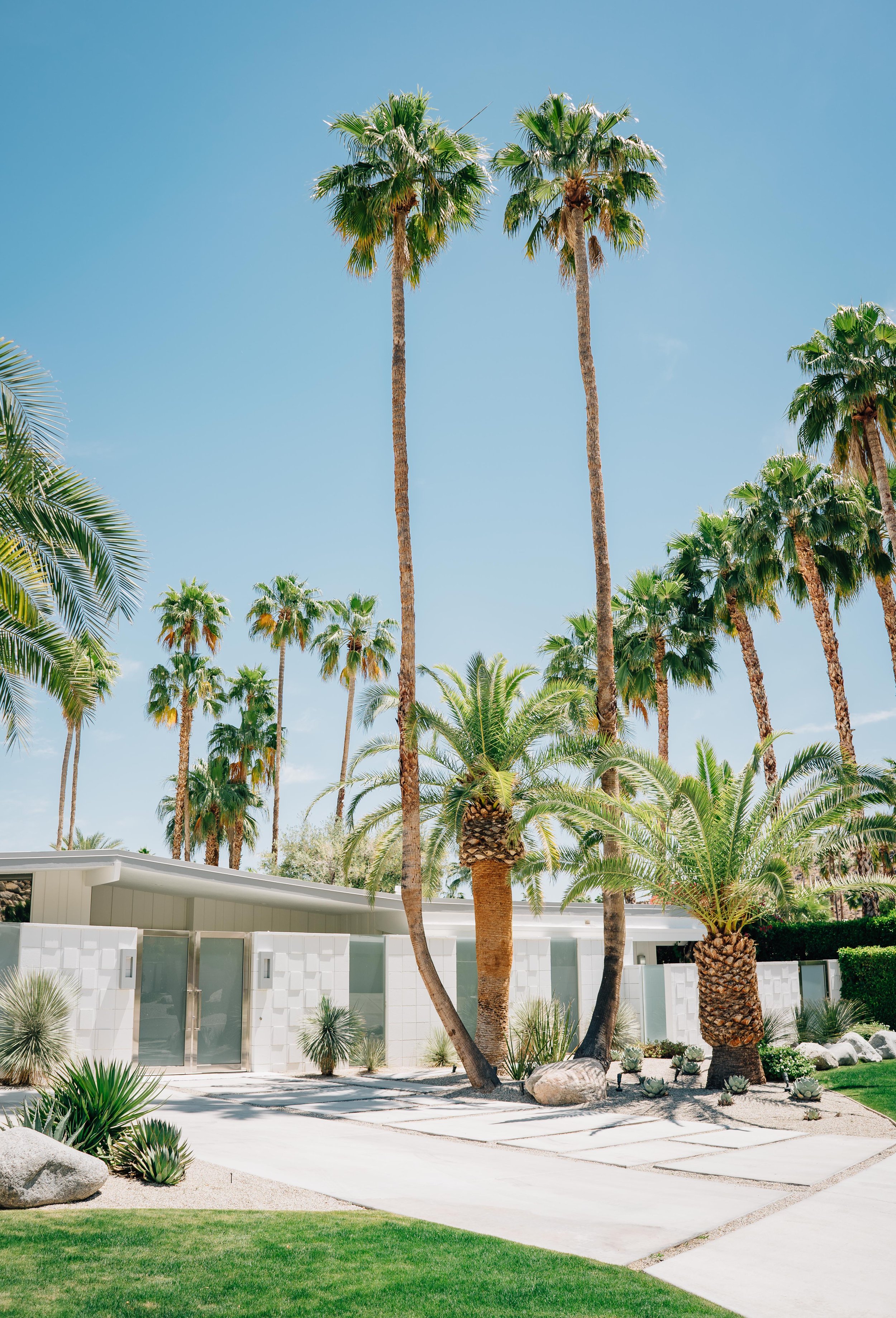 Palm Springs Film Print small-1.jpg