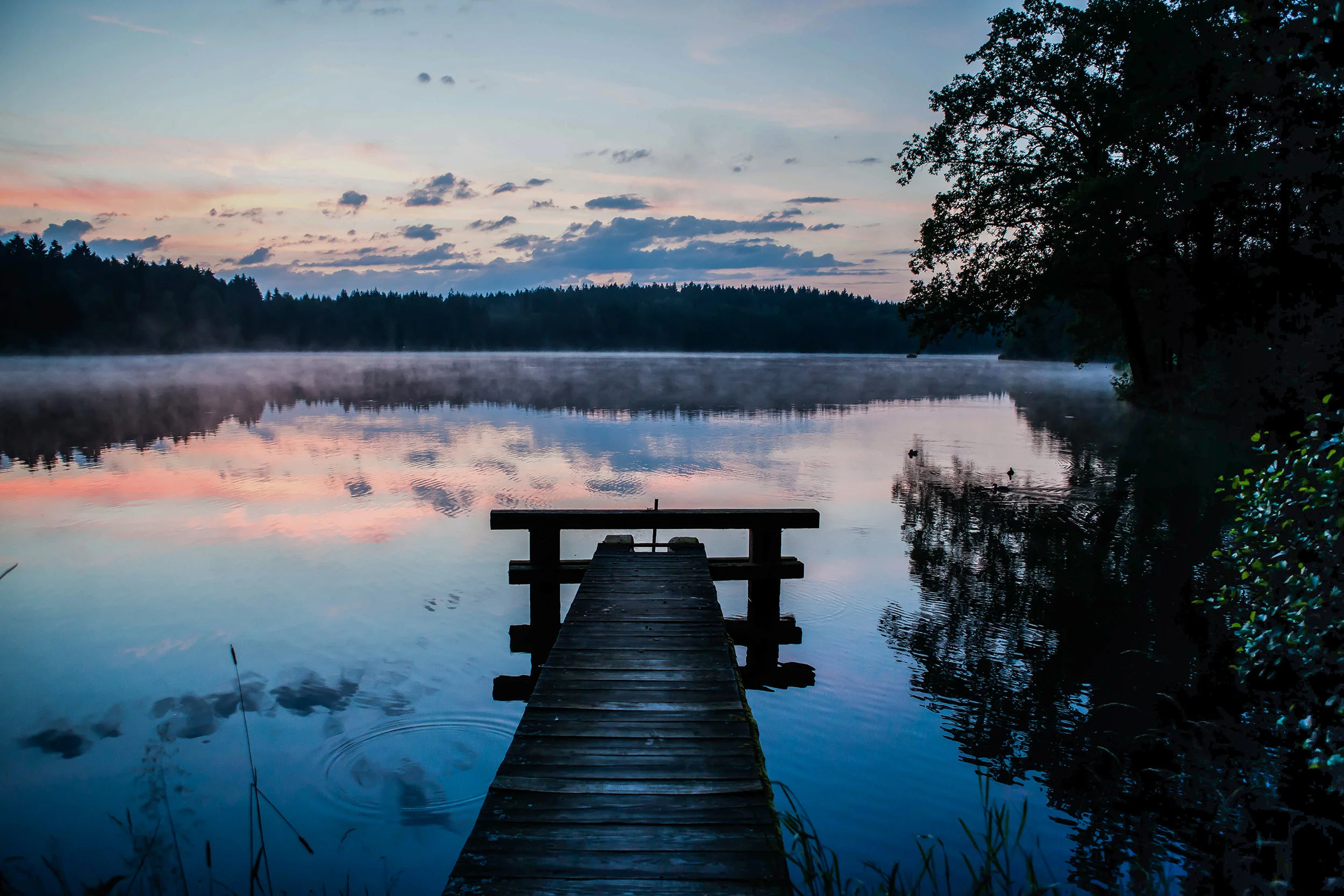 Landscapes2.jpg