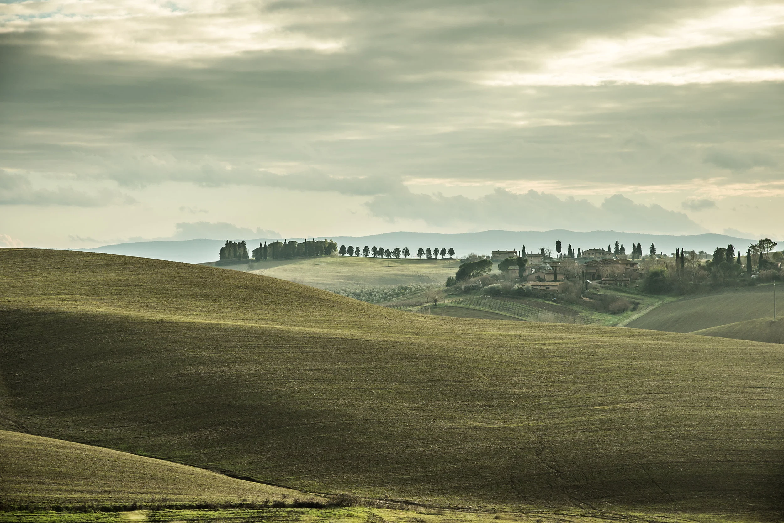 Landscapes12.jpg