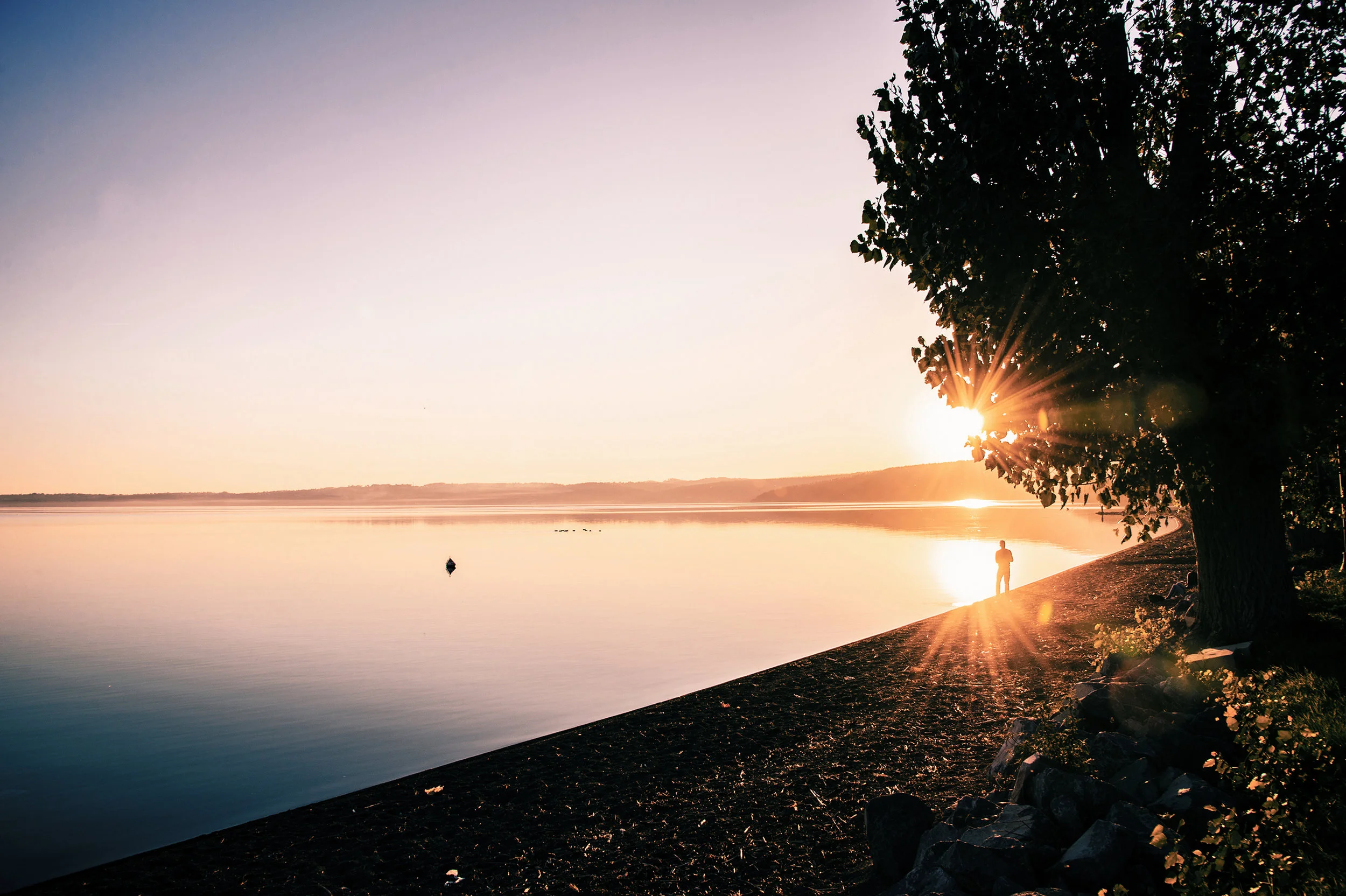 Landscapes15.jpg