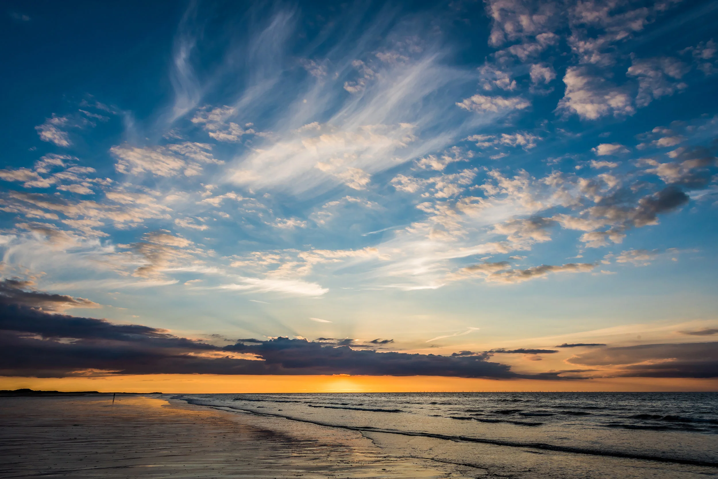 Landscapes16.jpg