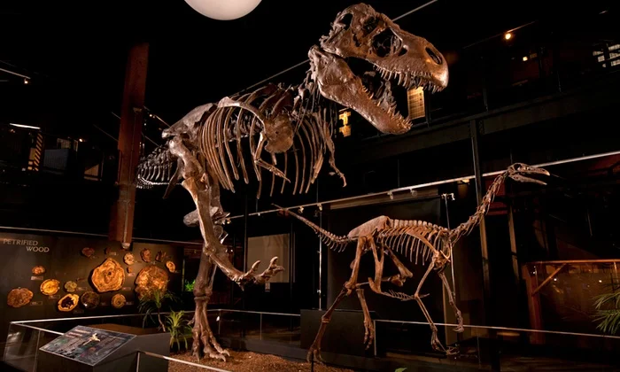 Houston Museum of Natural Science