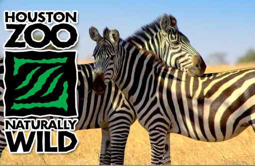 Houston Zoo