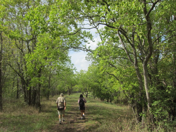Brazos Bend State Park