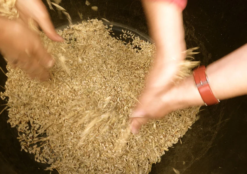 Vernal_Threshing-2_web.jpg
