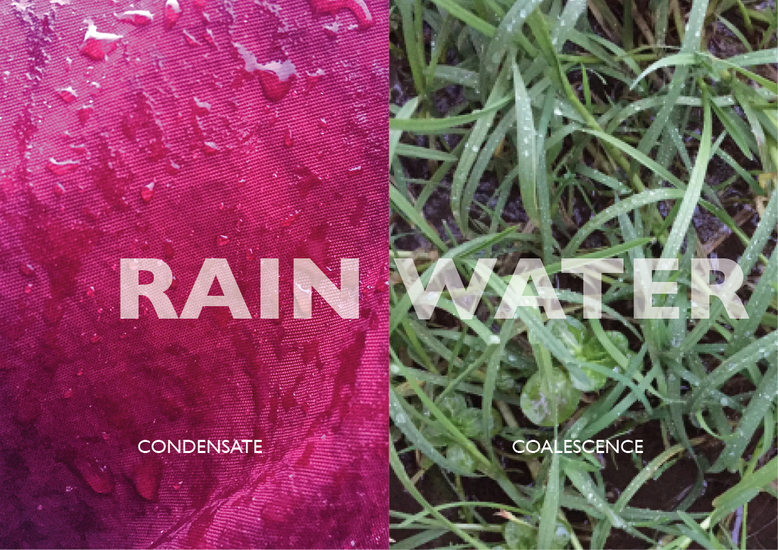CONDENSATION and COALESCENCE