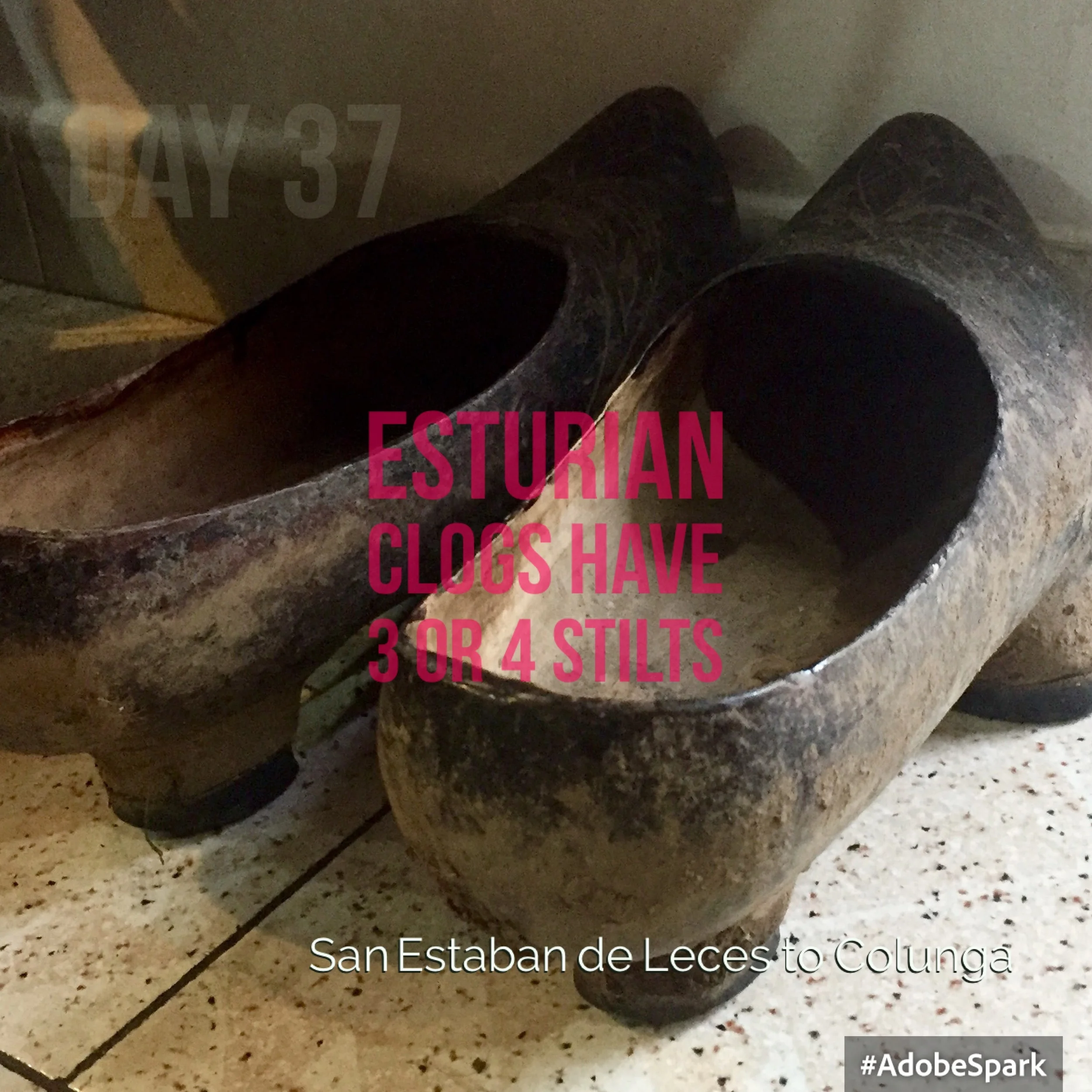 Apparently they are warm and keep your feet out of the mud