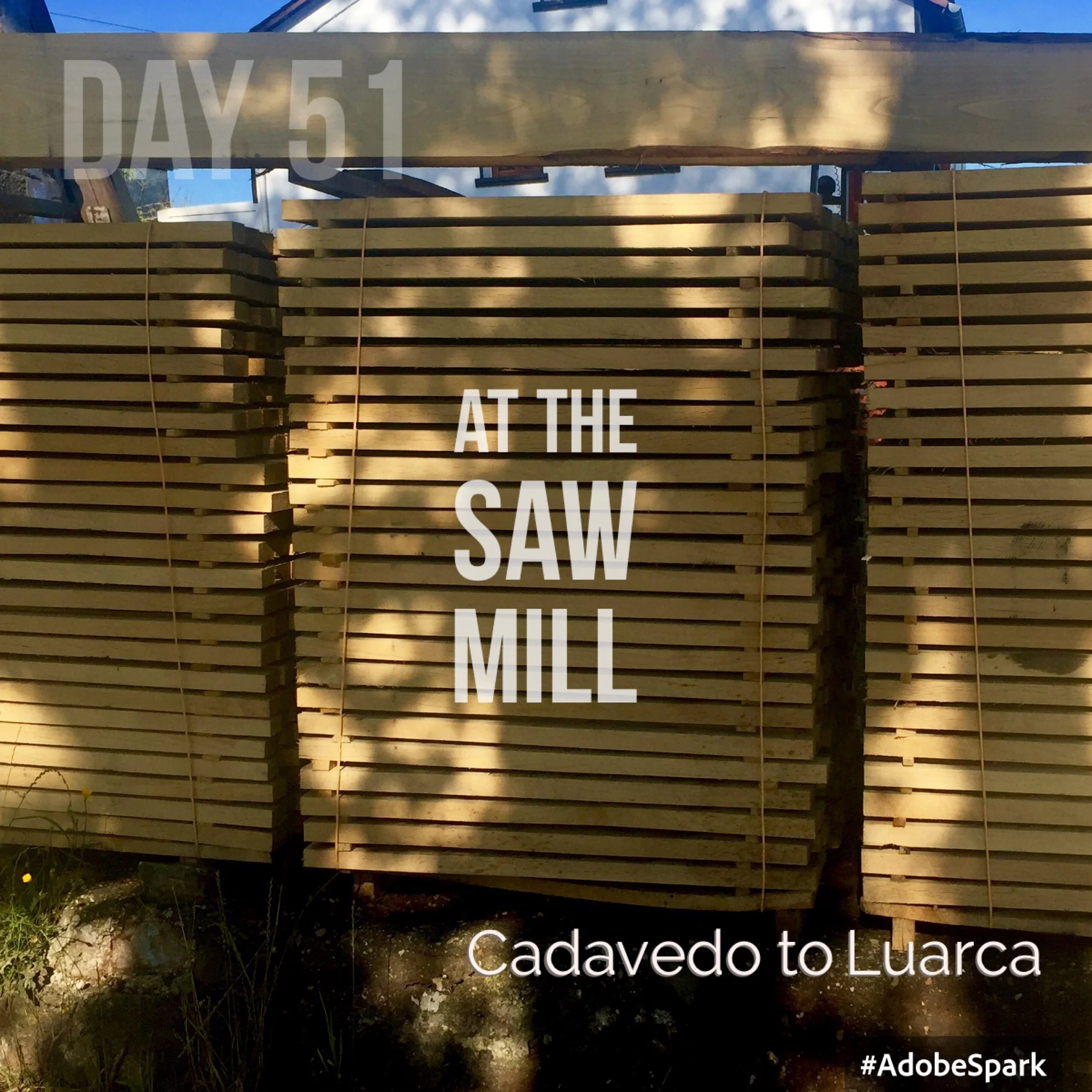 I pass a small sawmill; the oak planks neatly stacked on the roadside. 