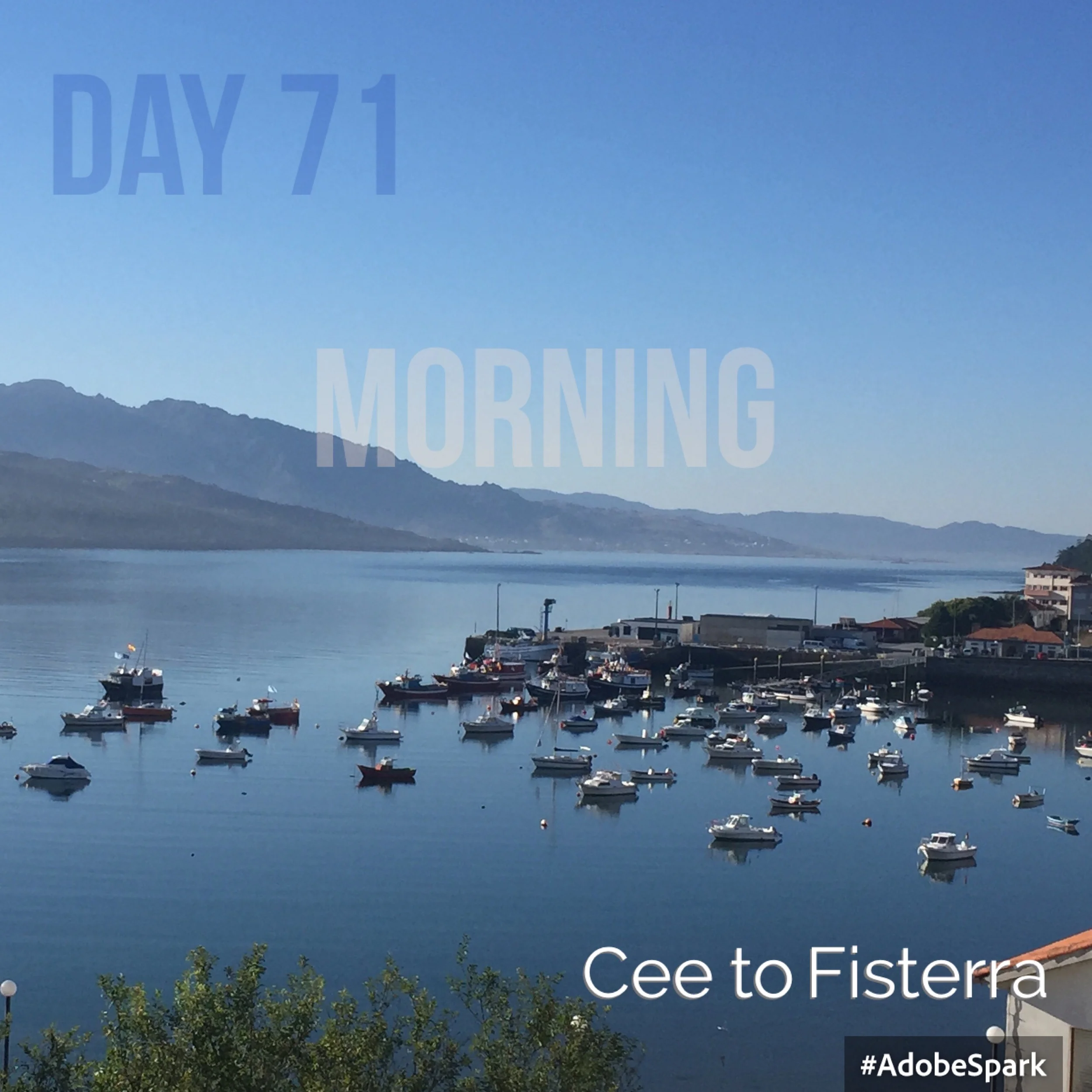 Looking back at Cee in the morning light
