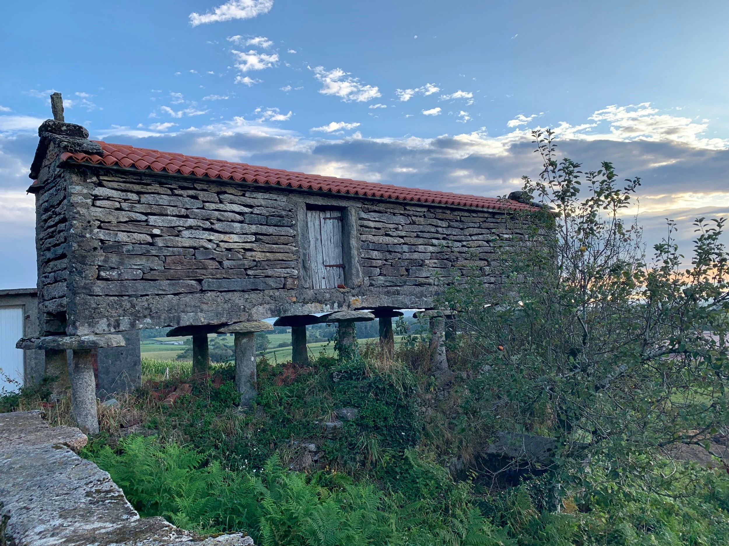 A typical Galician hórreo on its staddle stone legs.