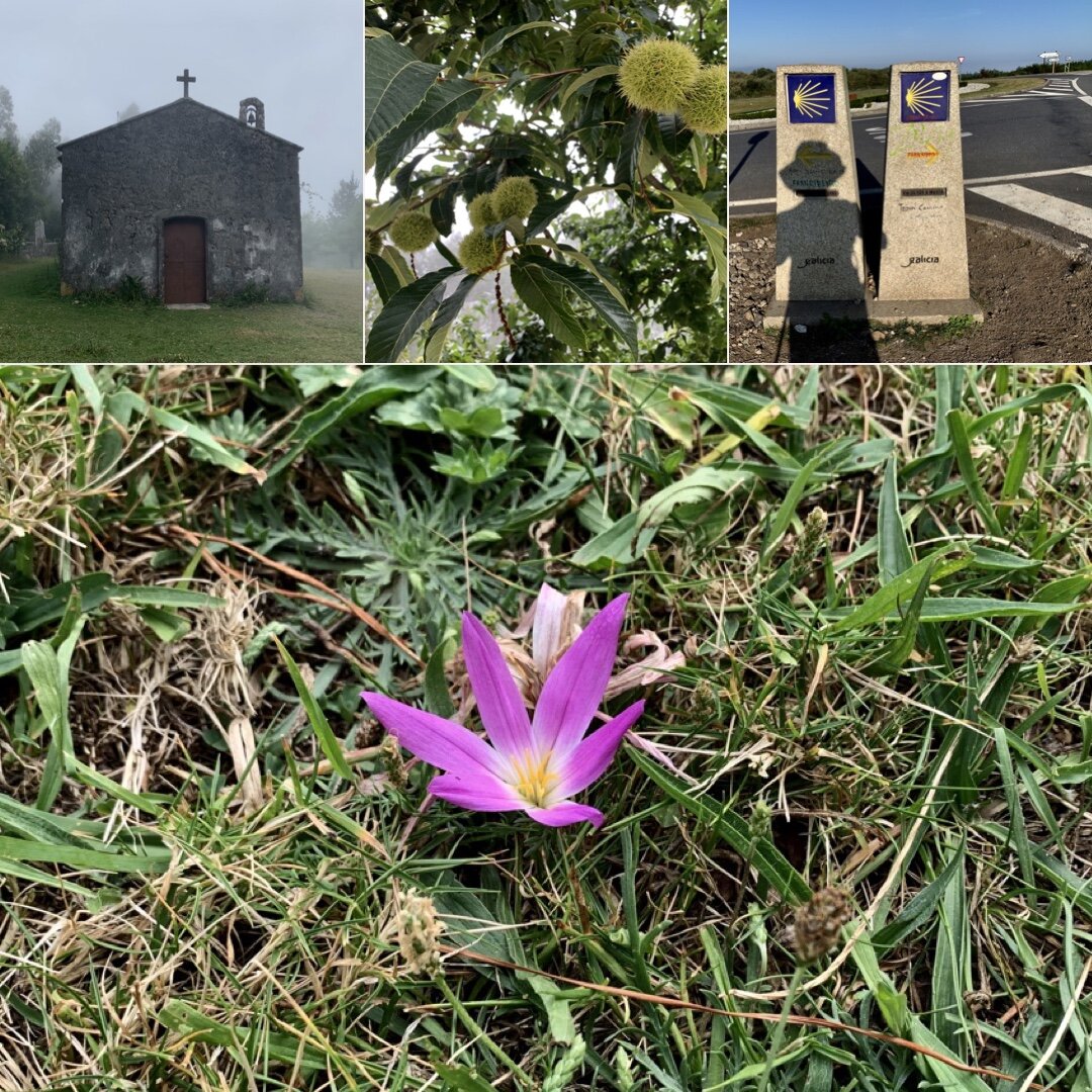 An autumnal Camino. Top right. At the ‘Great Divide’ where the routes to Finisterre and Muxia diverge in a great sea of tarmac!