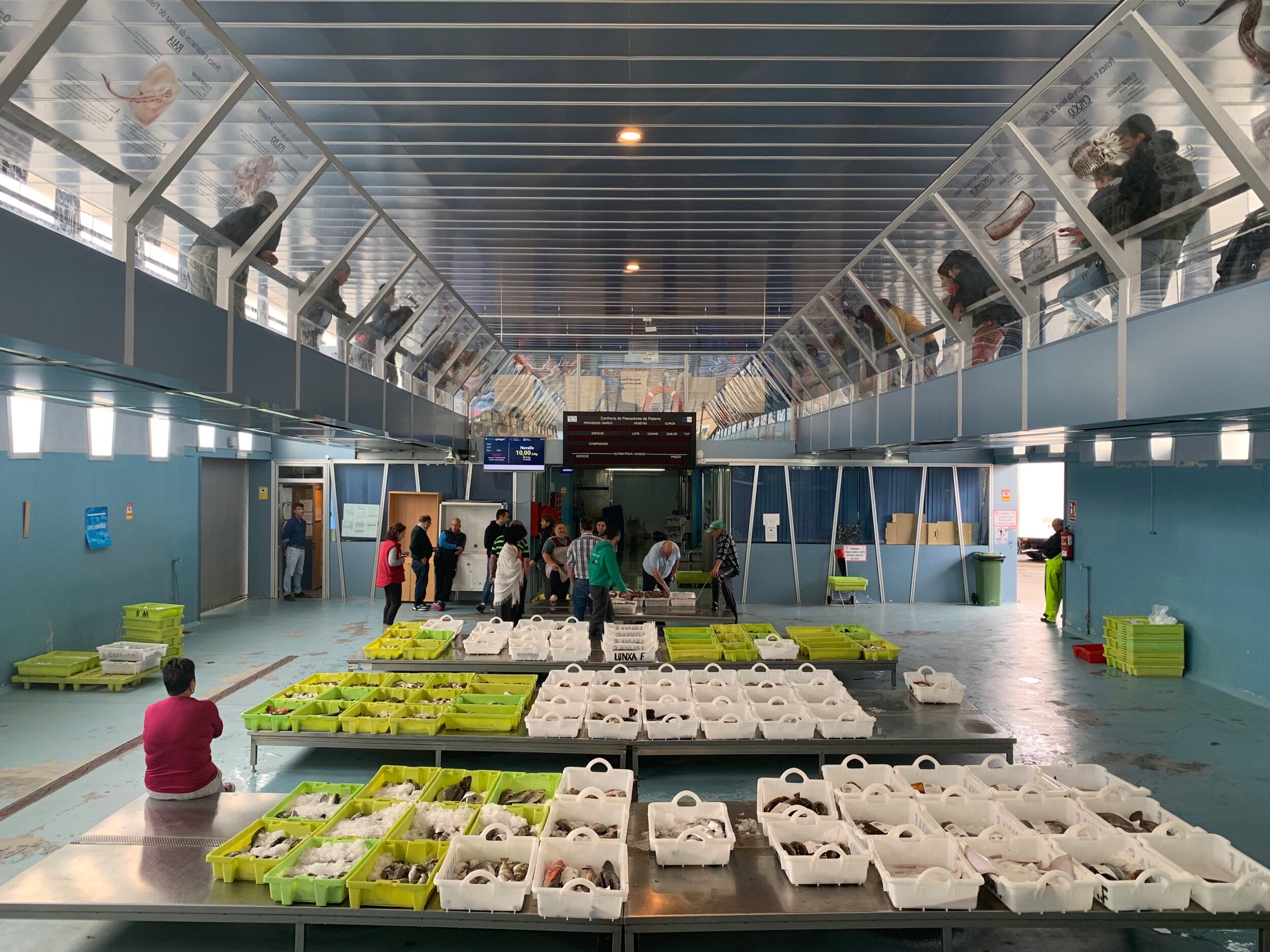 The wholesale fish market in Finisterre.