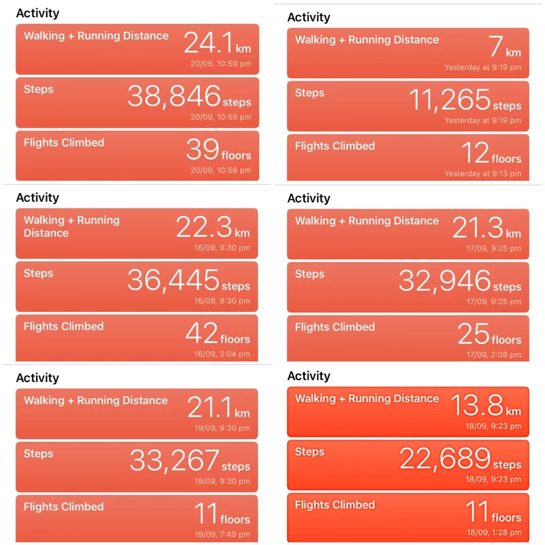 I had hoped to walk to Muxia but it seems my walk is over!