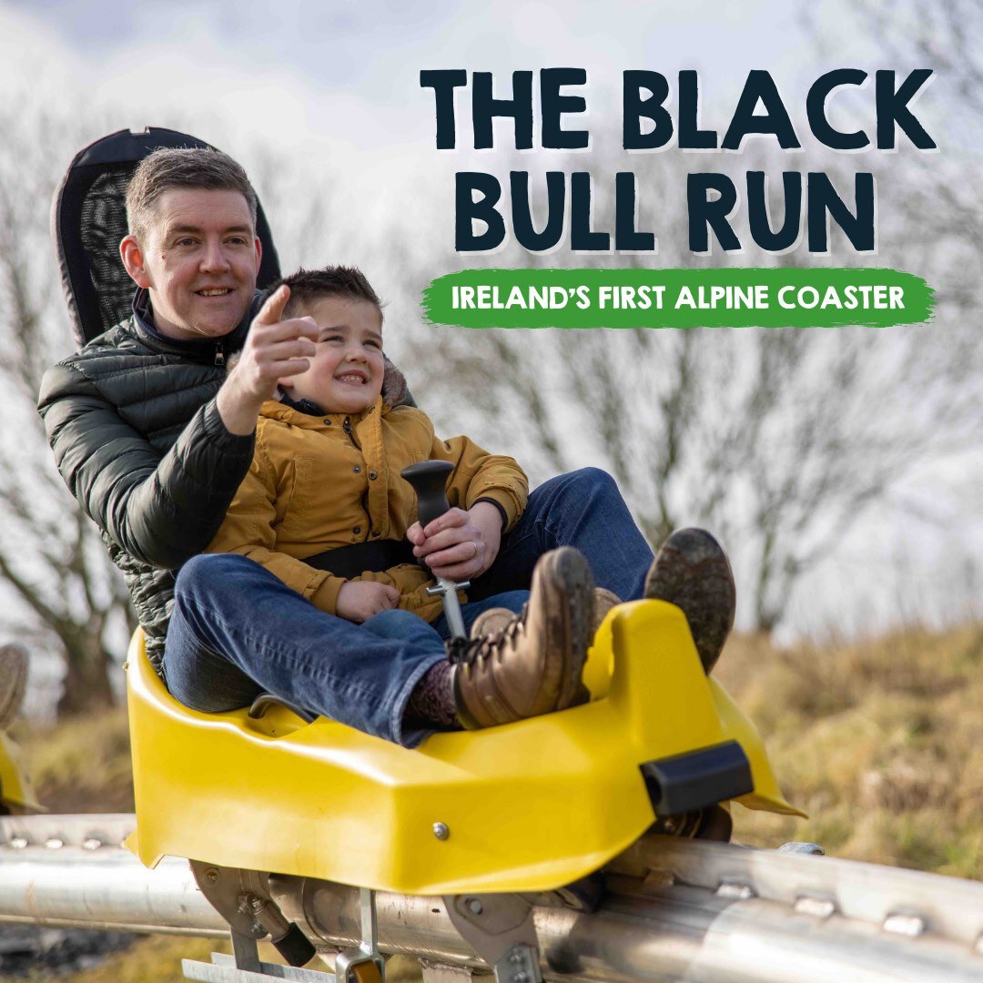 Alpine Coaster Black Bull Run Colin Glen Belfast Fun Days Out