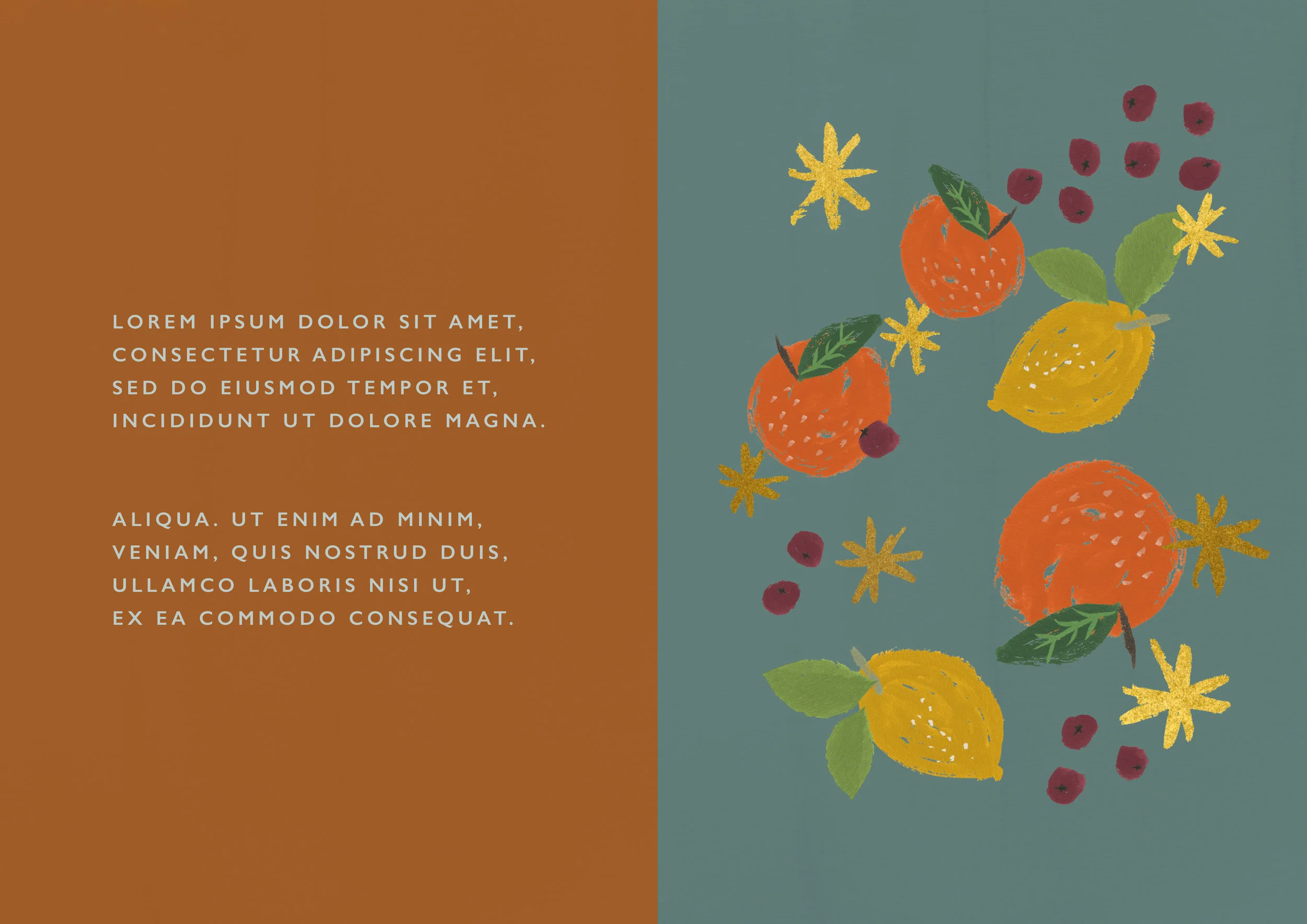 Ingredients close up_A.jpg