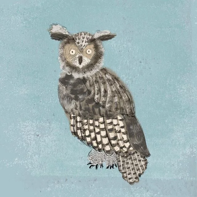 I&rsquo;ve been experimenting with Procreate...I love all the textures you can create whilst the baby sleeps...no need to get all my paints and brushes out! #owl #owlillustration #illustration #kidsillustration #procreate #ipad