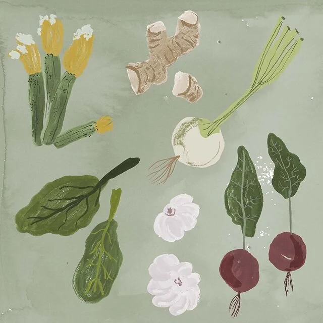 A detail of some veggies from &ldquo;Be More Bee&rdquo; #illustration #bookillustration #texture #colour #paintandpen #drawing #vegetables #vegetableillustration