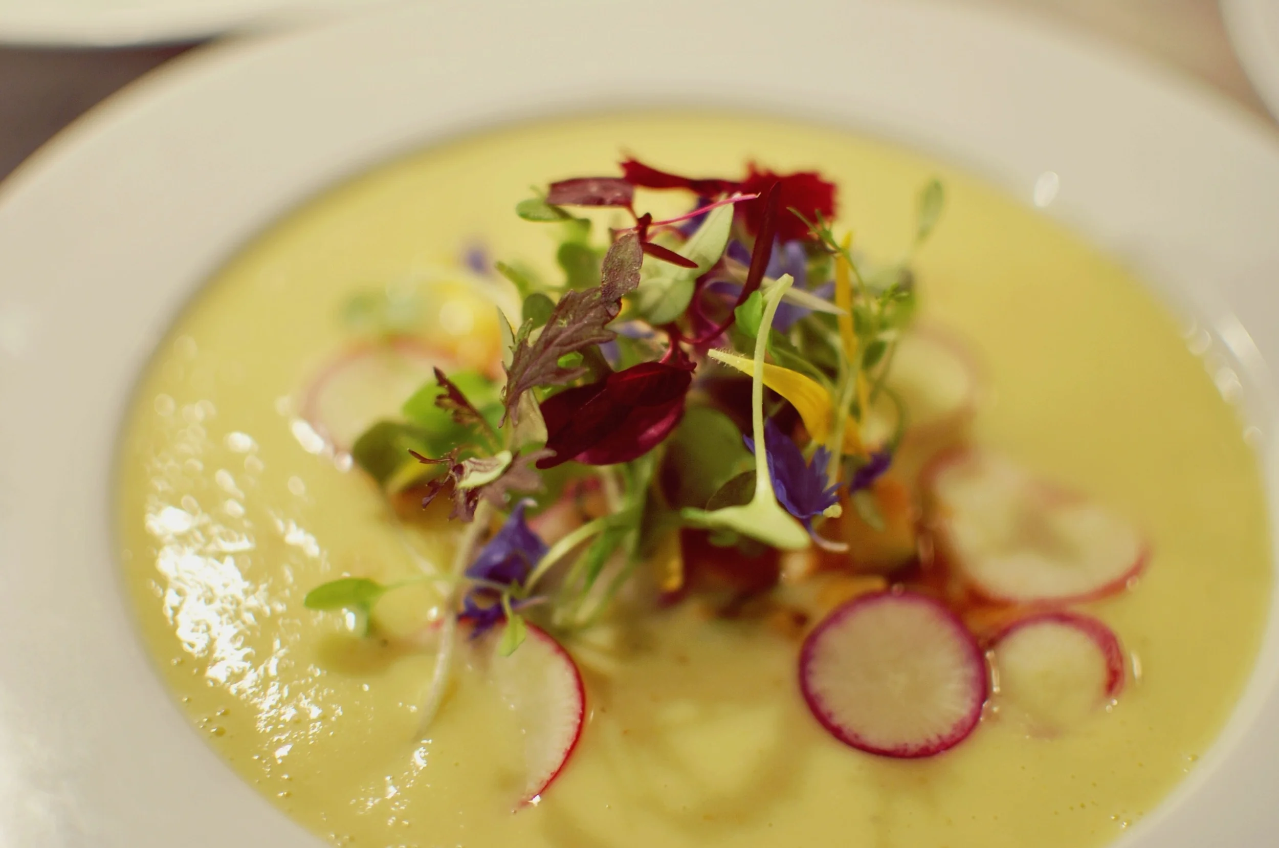 Chilled Corn Soup