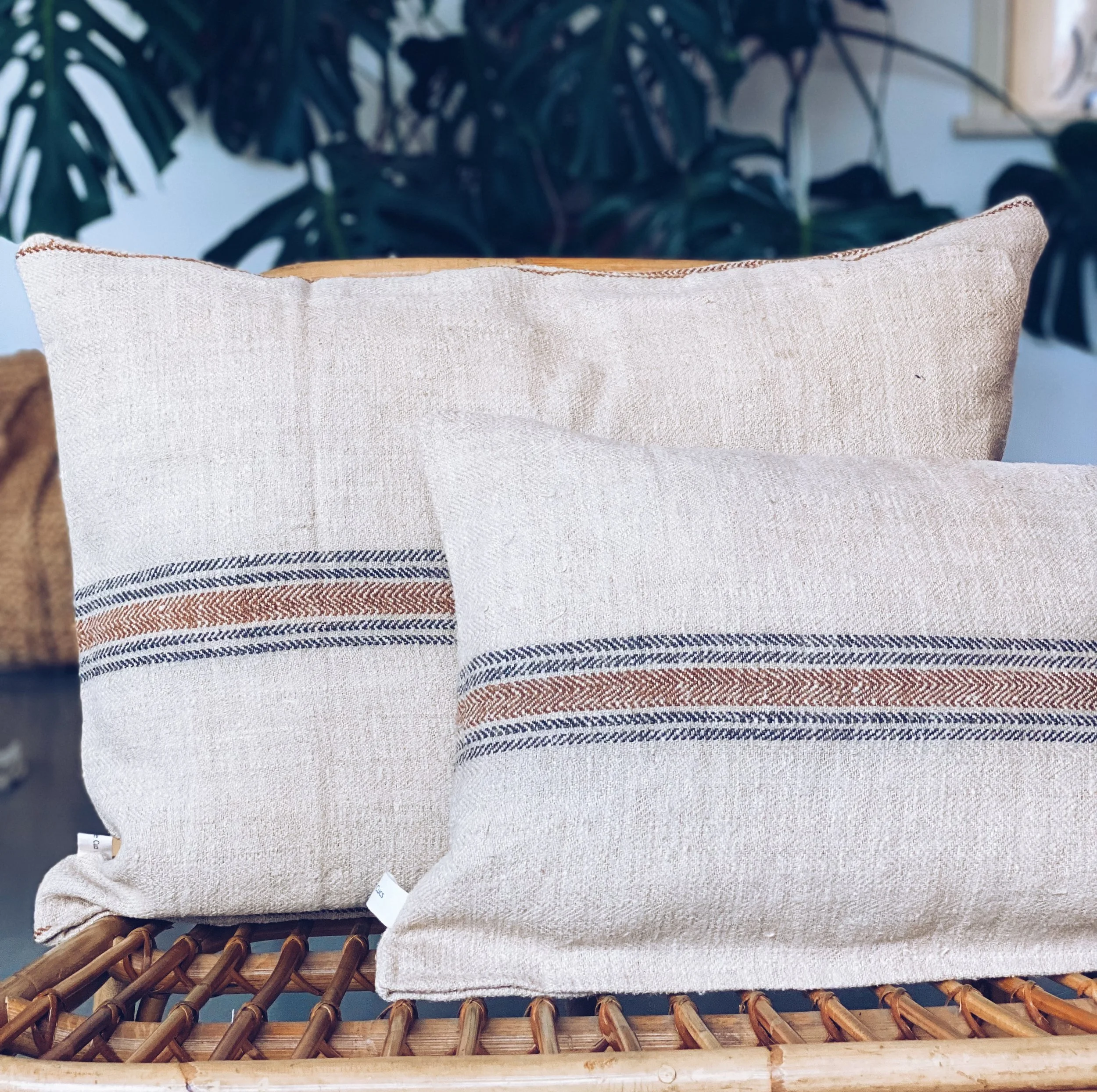 FullSizeRender (20).jpeg