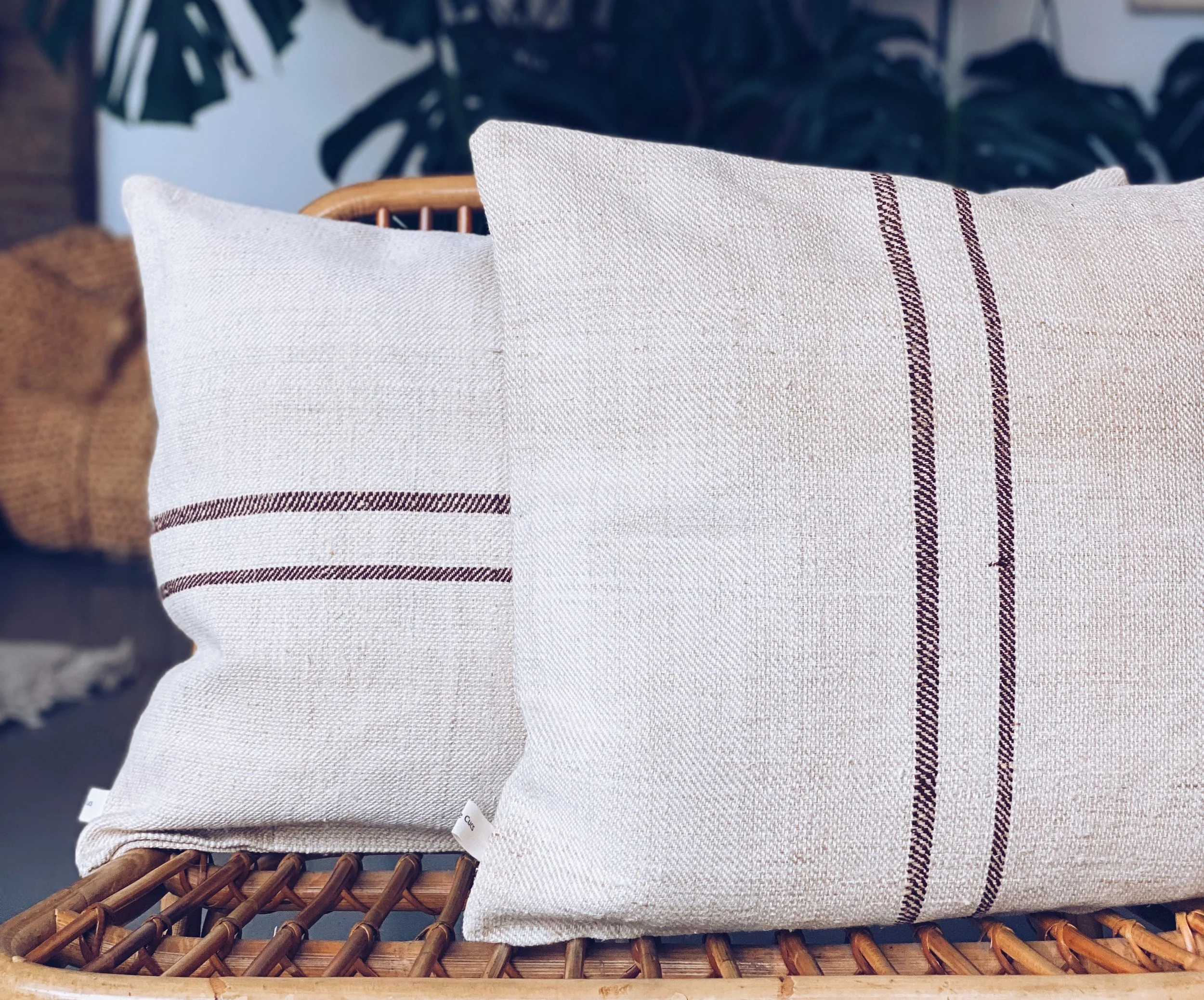 FullSizeRender (18).jpeg