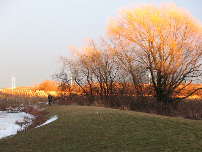 Sunset.jpg