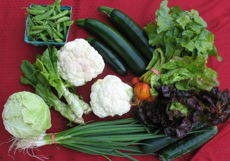 Ode to the CSA (Why We Love Farming for Community Supported Agriculture)
