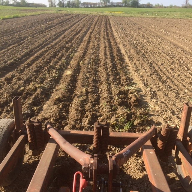 Gentler soil management with the "new" chisel plow--it helps keep soil biology intact!