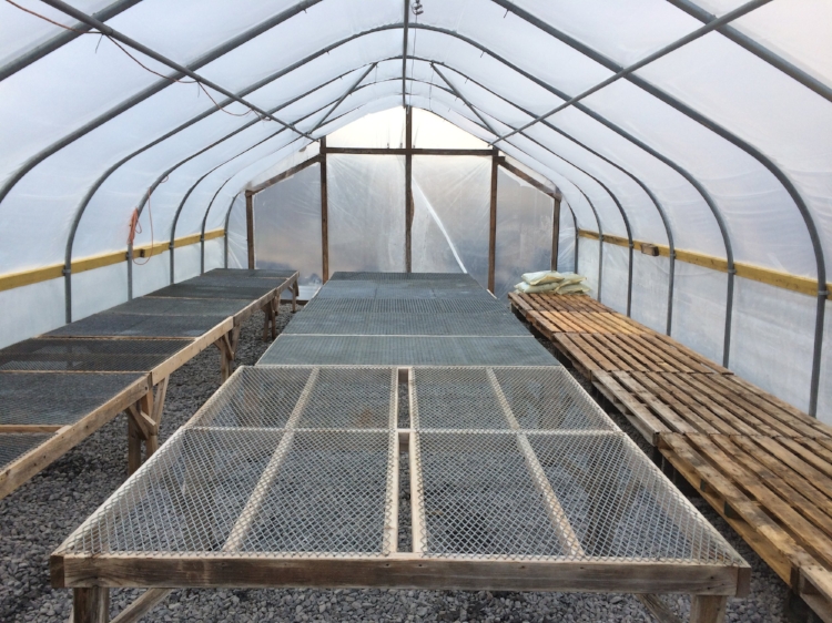 seed starting — Farm Blog — Hartwood Farm