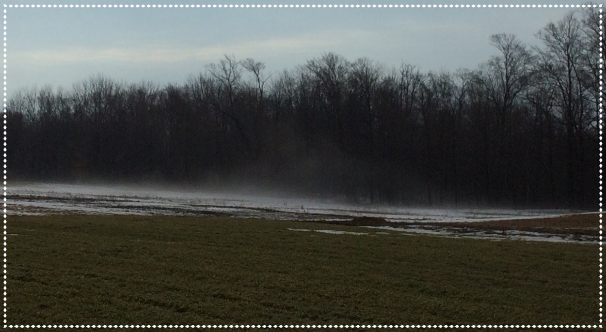 It got quite foggy when those 34 inches of snow melted!