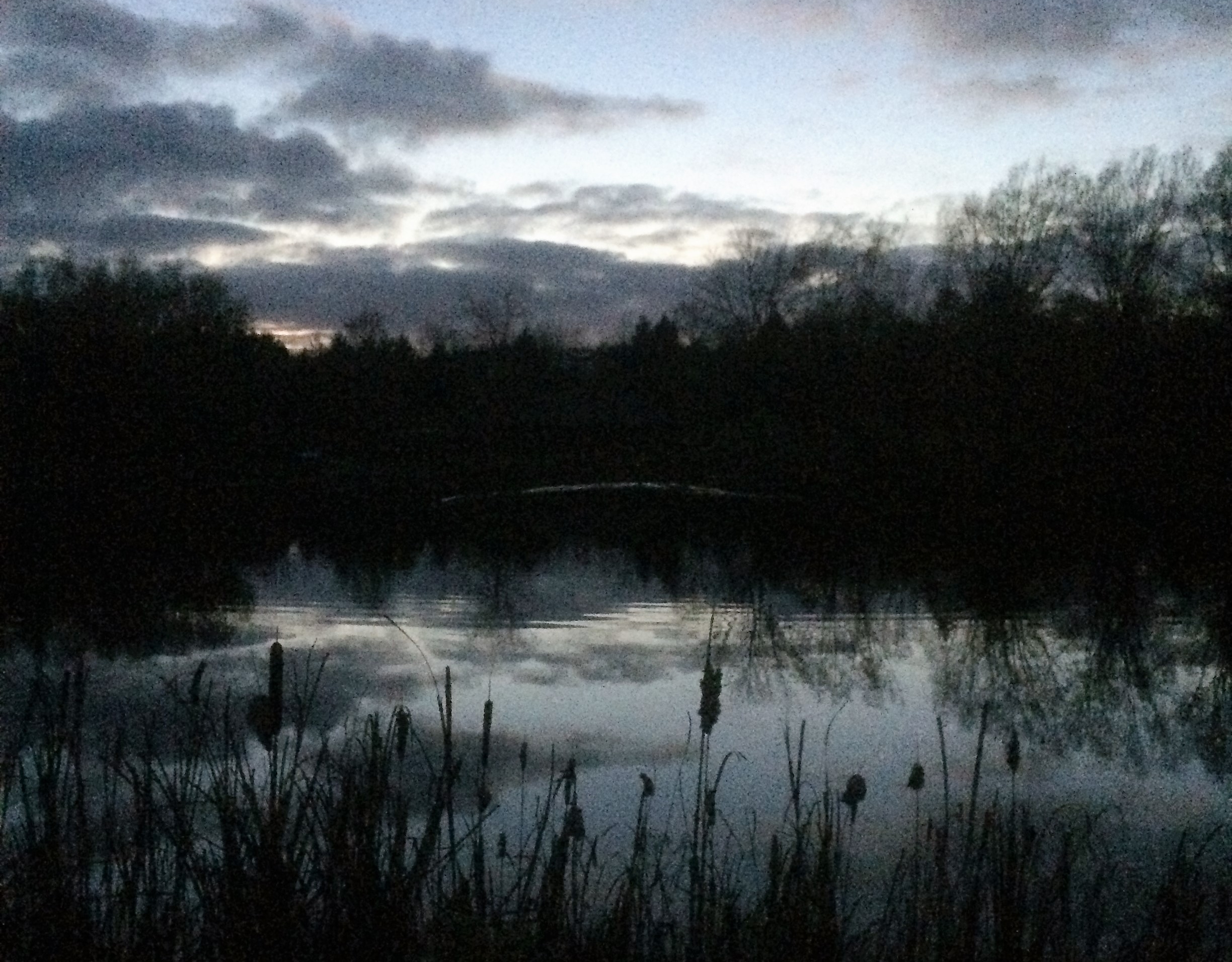Sunset over a boisterous wetland.