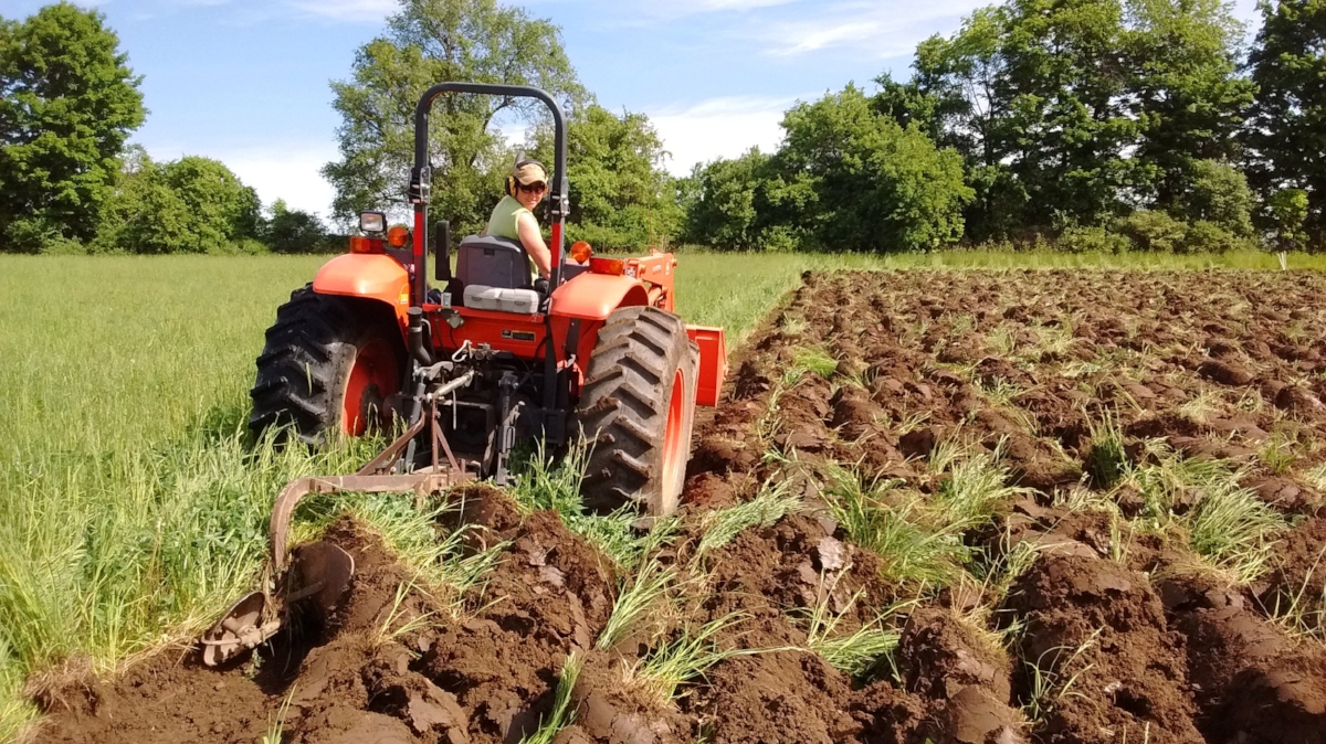 Plowing up a new field!