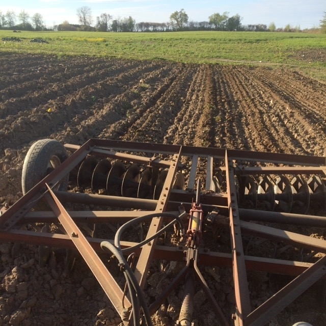 The view from the seat of the heavy disk--you can see how without the hydraulic run wheels to lift it up, it would tear up the grass!