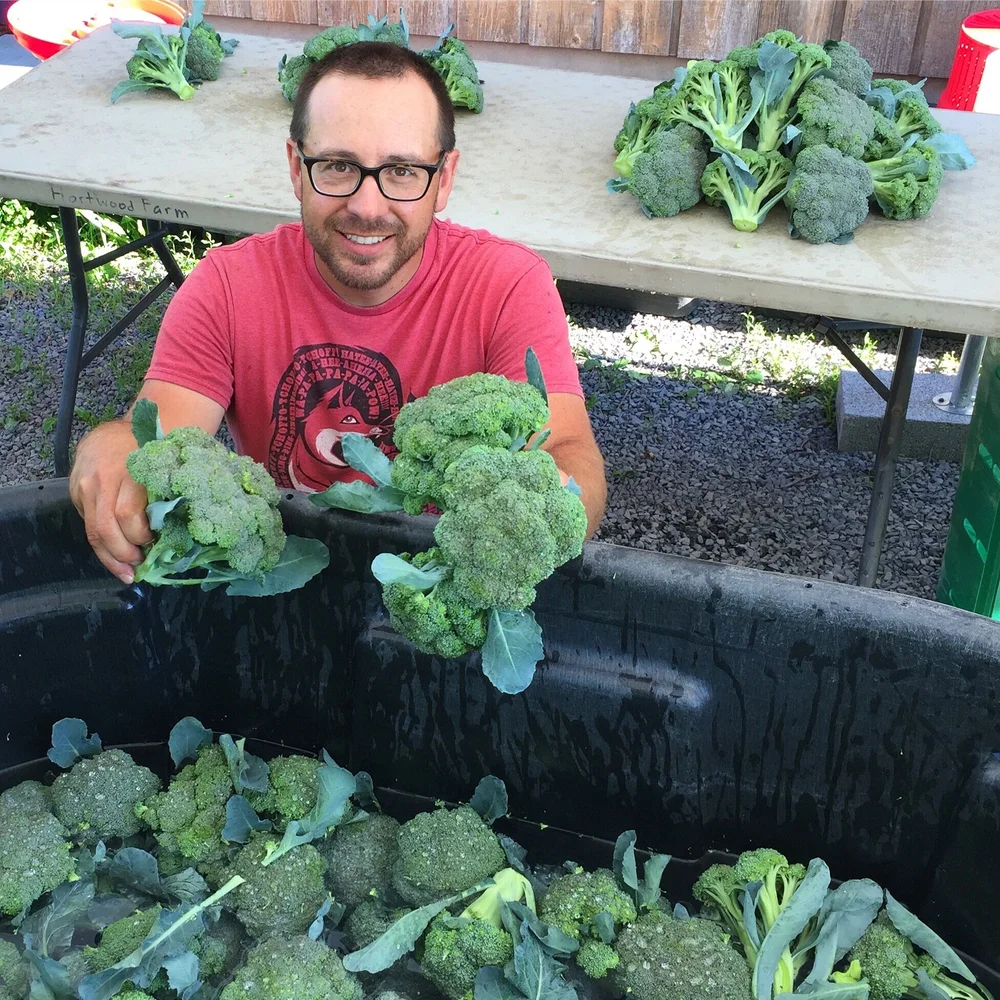 Spring broccoli extravaganza!