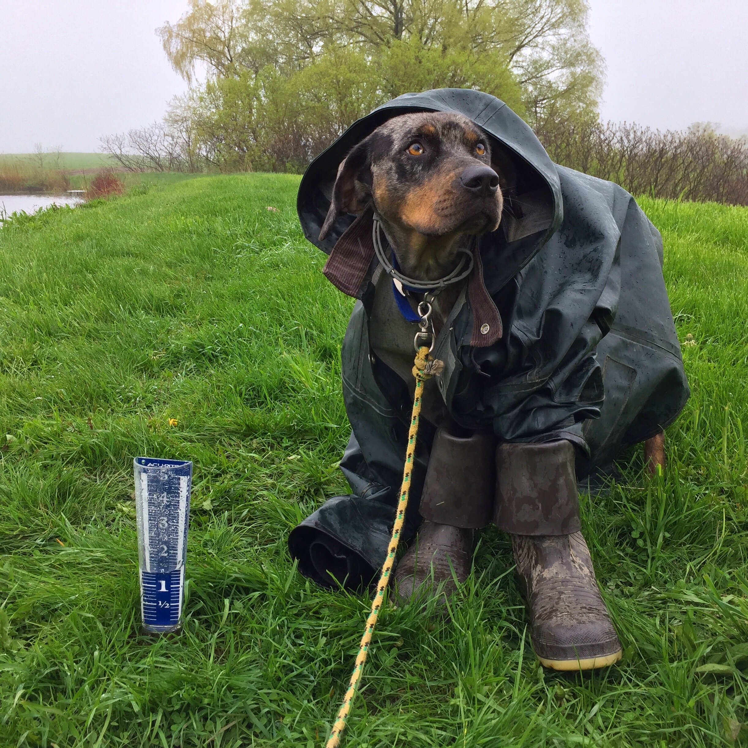 The farm meteorologist