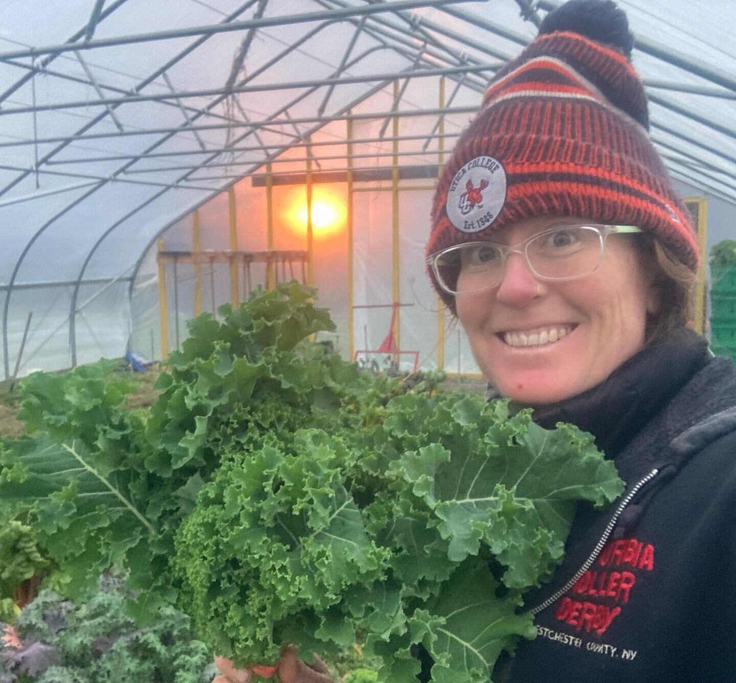 Maniacal grin for our daily five minutes of sunshine&hellip; Starting harvest this evening for @cazenoviafarmersmarket and #csafarm shares! Spinach, kale, lettuce, carrots, and more&hellip;