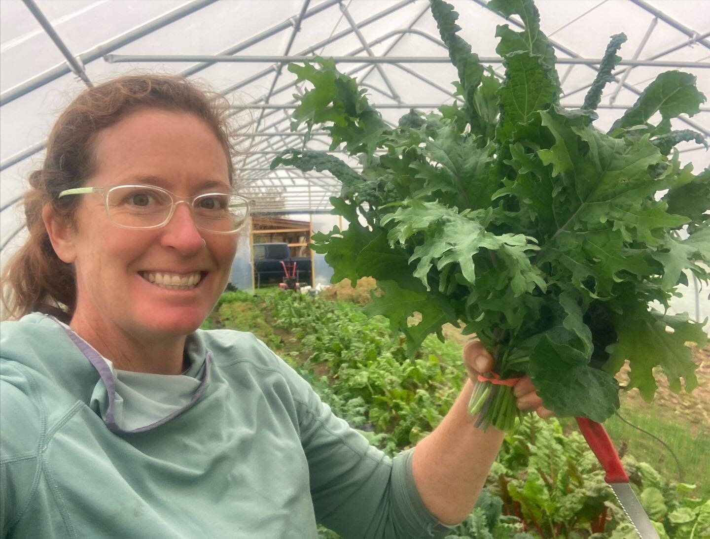 Today&rsquo;s harvest is brought to you by the nice, dry high tunnel, but my creepy smile comes from the uncertainty of our ongoing debate: Are high tunnels faraday cages or lightning magnets?