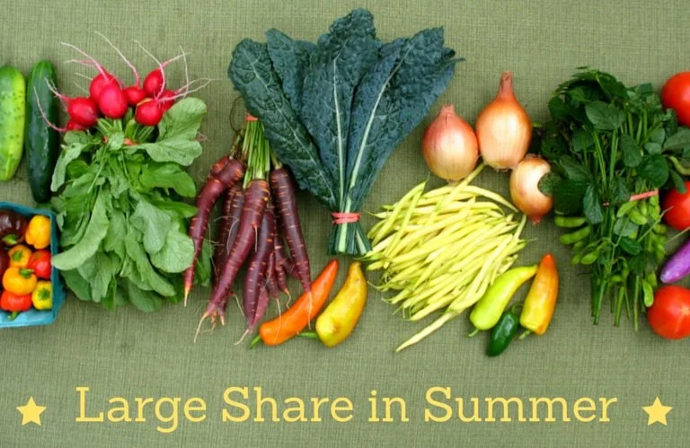 Farm Math and the Unpriceable Deliciousness of Snap Peas — Hartwood Farm