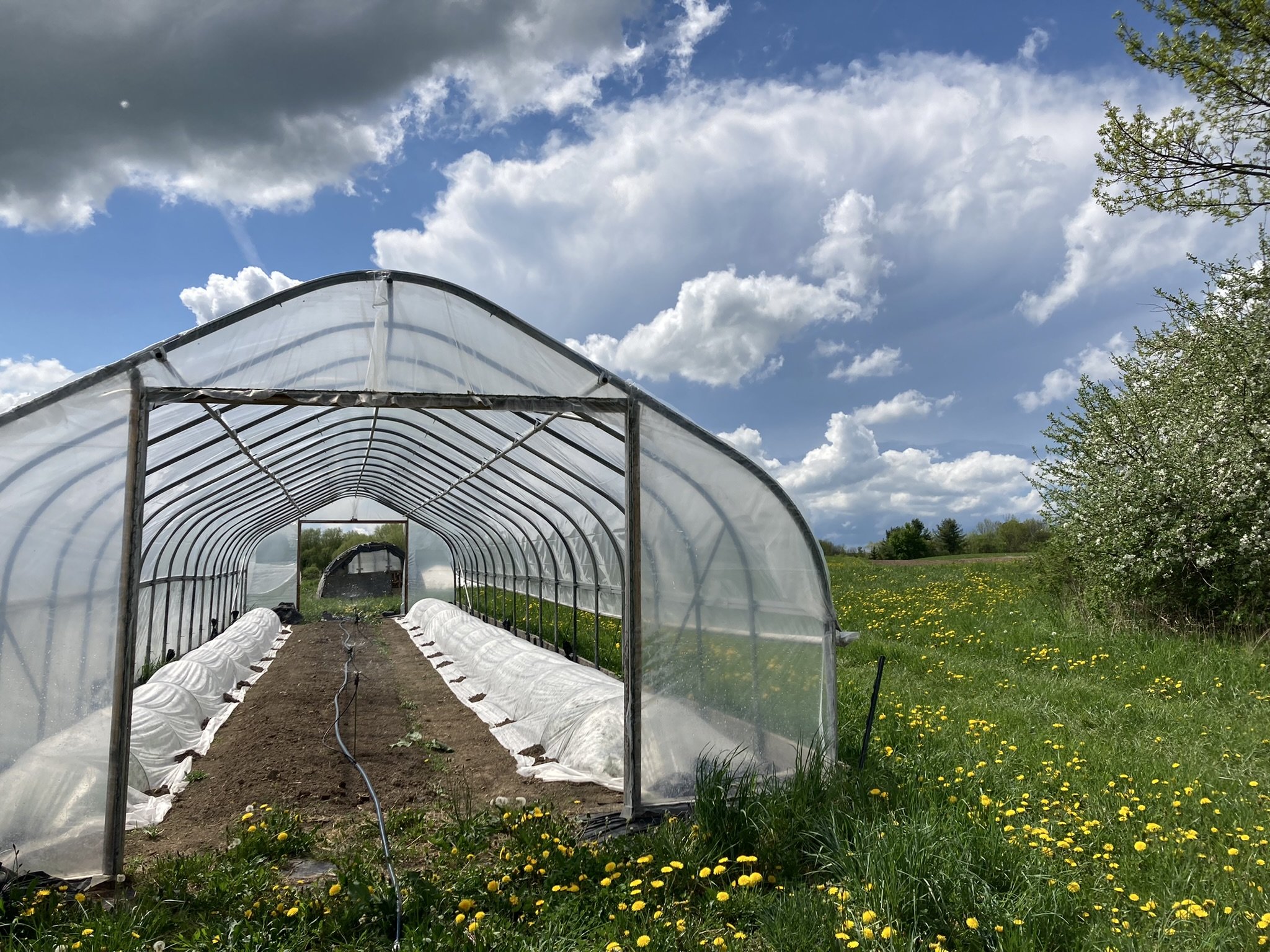 The Value Of A Snag - Hobby Farms